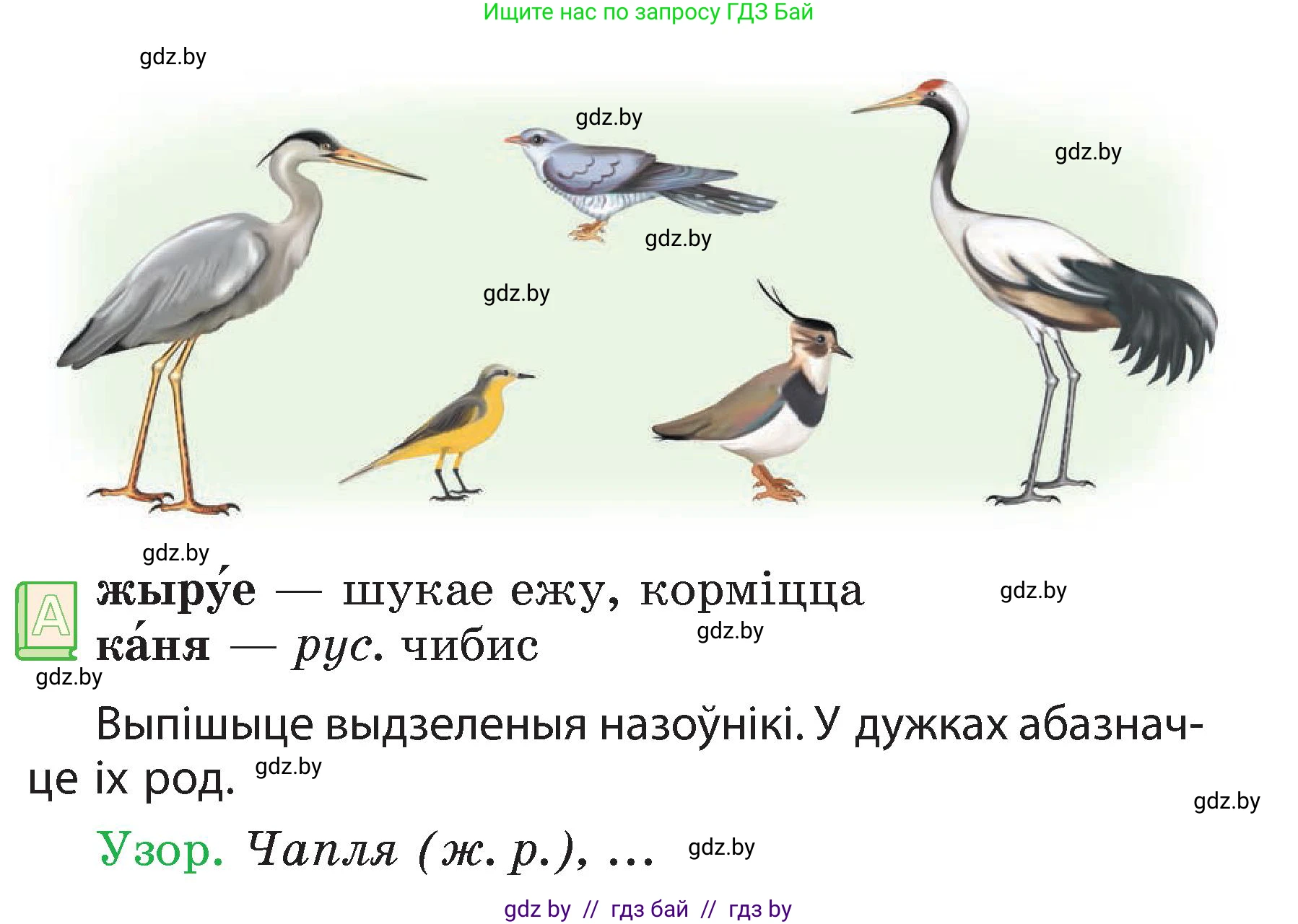 Белорусский язык (Беларуская мова), 3 класс Учебник, автор: Свірыдзенка Вольга Іванаўна, издательство Нацыянальны інстытут адукацыі, Минск, 2023, зелёного цвета, Частка 2, страница 62, номер 105, Условие (продолжение 2)