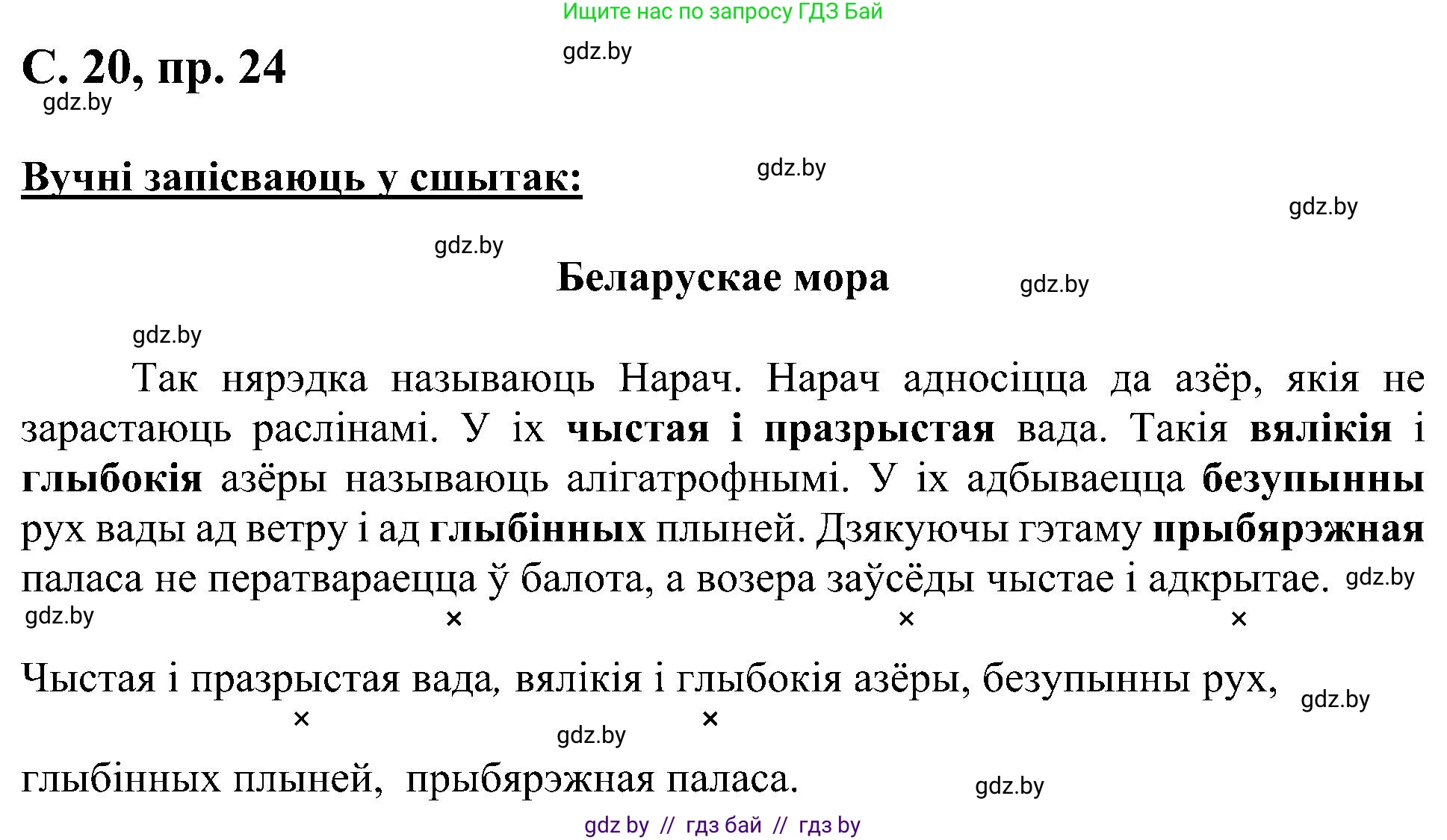 Белорусский язык (Беларуская мова), 6 класс Учебник, авторы: Валочка Ганна Міхайлаўна, Зелянко Вольга Уладзіміраўна, Мартынкевіч Святлана Васільеўна, Якуба Святлана Міхайлаўна, Бажкова Т І, издательство Акадэмія адукацыі, Минск, 2025, страница 20, номер 24, Решение