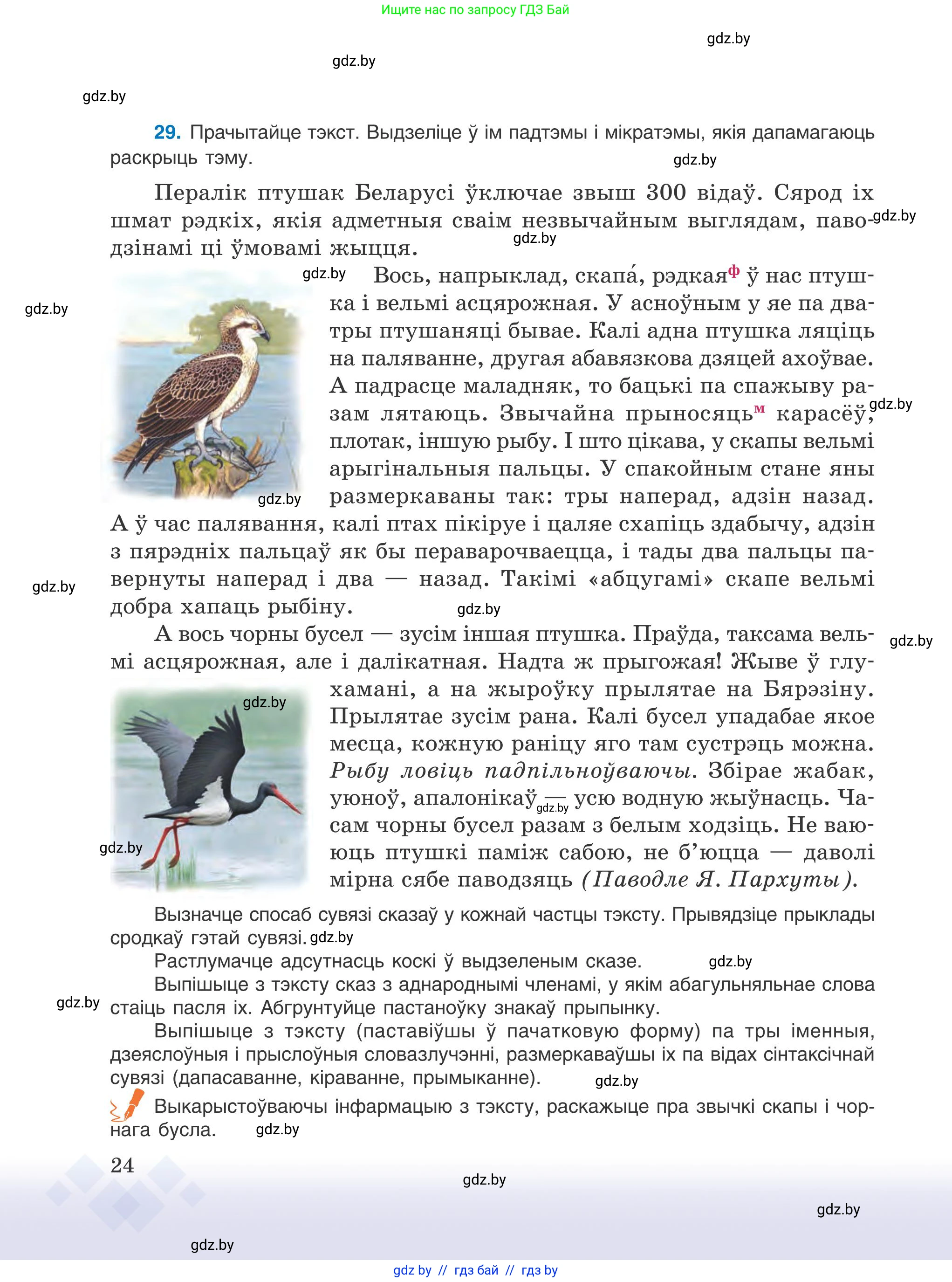 Белорусский язык (Беларуская мова), 9 класс Учебник, авторы: Валочка Ганна Міхайлаўна, Васюковіч Людміла Сяргееўна, Зелянко Вольга Уладзіміраўна, Якуба Святлана Міхайлаўна, Байкова С І, издательство Акадэмія адукацыі, Минск, 2025, сиреневого цвета, страница 24