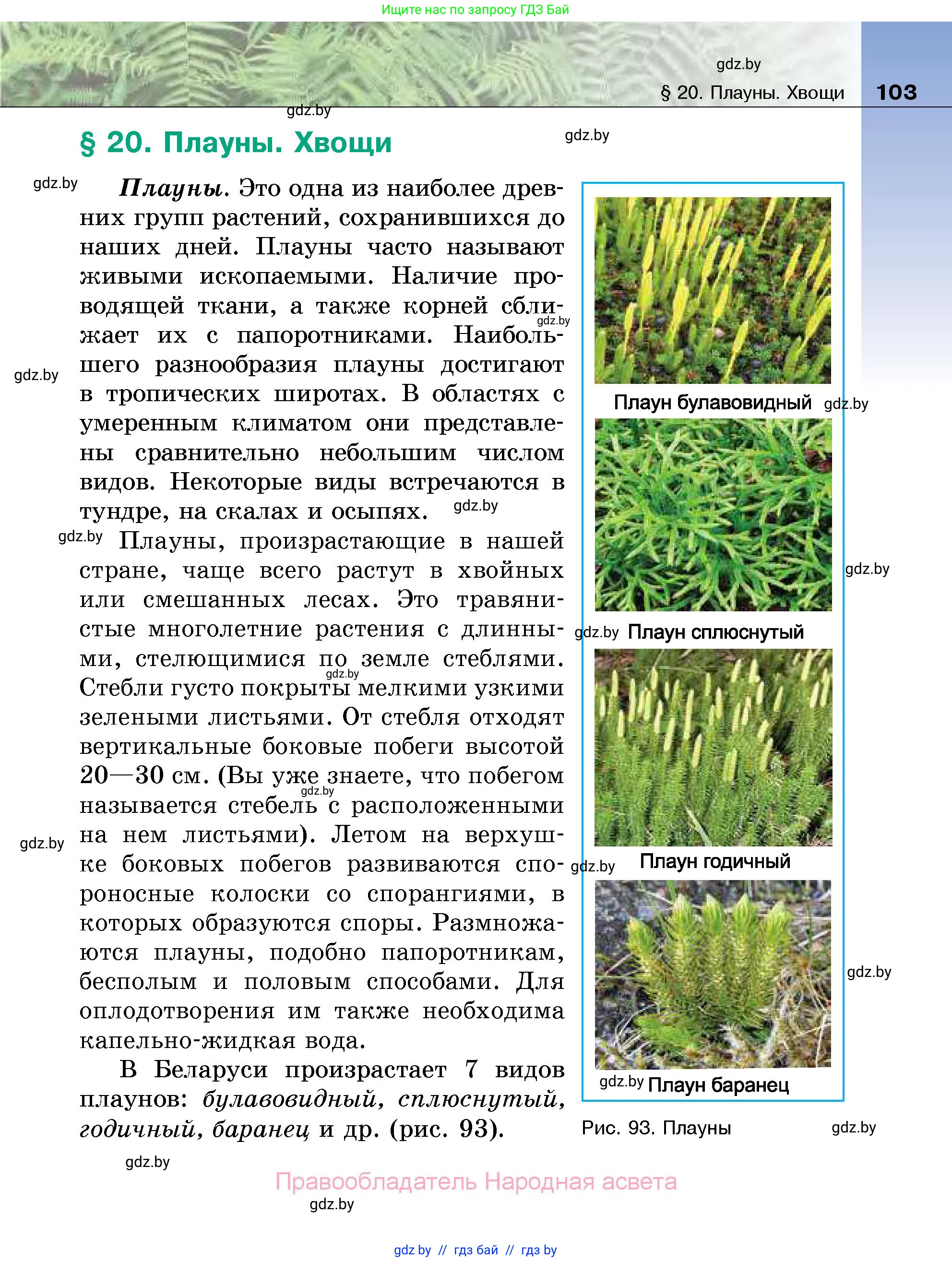 Биология, 7 класс Учебник, автор: Лисов Николай Дмитриевич, издательство Народная асвета, Минск, 2022, зелёного цвета, страница 103