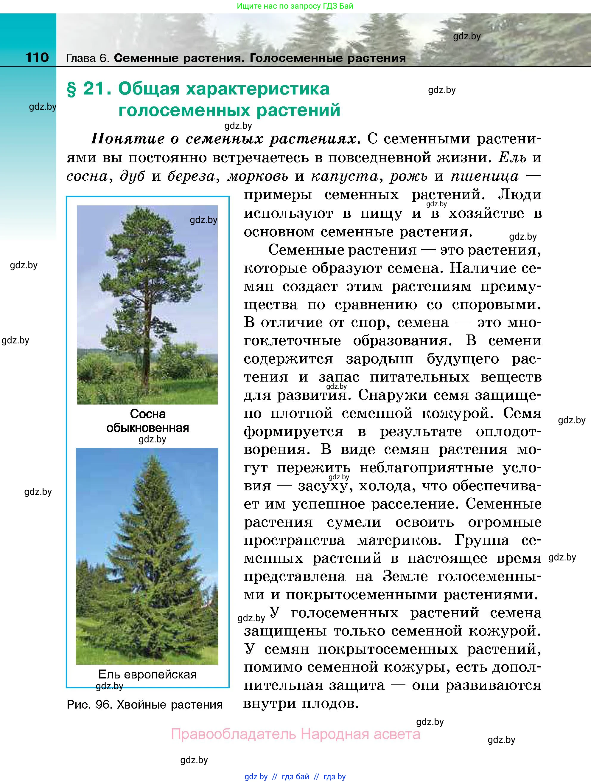 Биология, 7 класс Учебник, автор: Лисов Николай Дмитриевич, издательство Народная асвета, Минск, 2022, зелёного цвета, страница 110