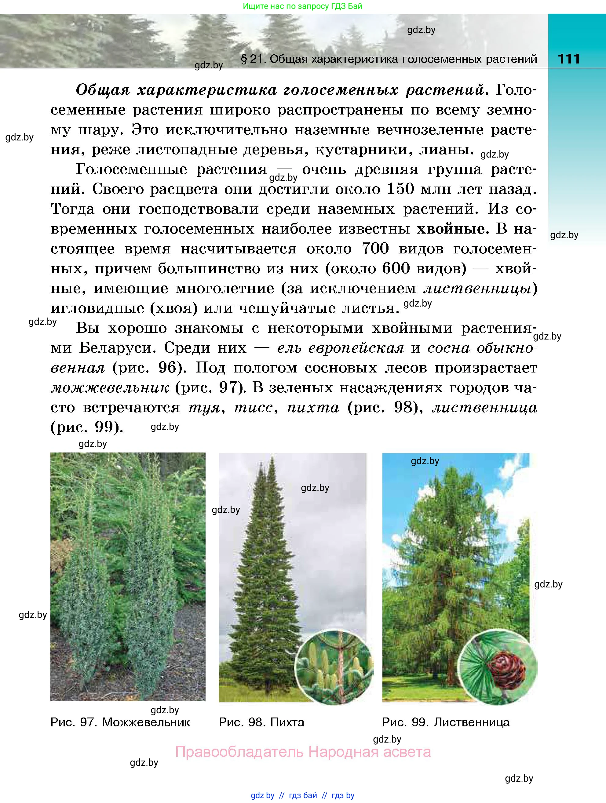 Биология, 7 класс Учебник, автор: Лисов Николай Дмитриевич, издательство Народная асвета, Минск, 2022, зелёного цвета, страница 111