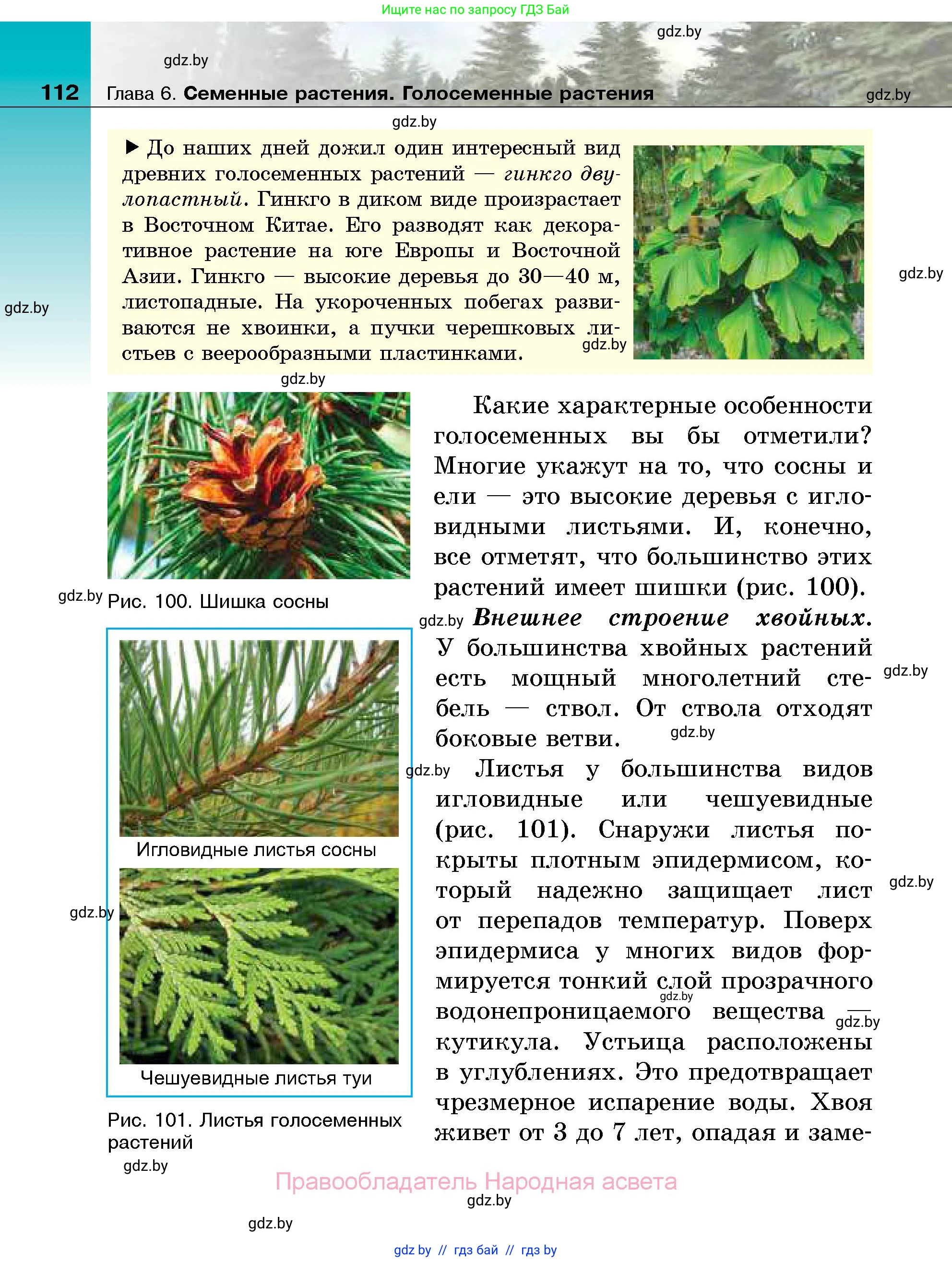 Биология, 7 класс Учебник, автор: Лисов Николай Дмитриевич, издательство Народная асвета, Минск, 2022, зелёного цвета, страница 112