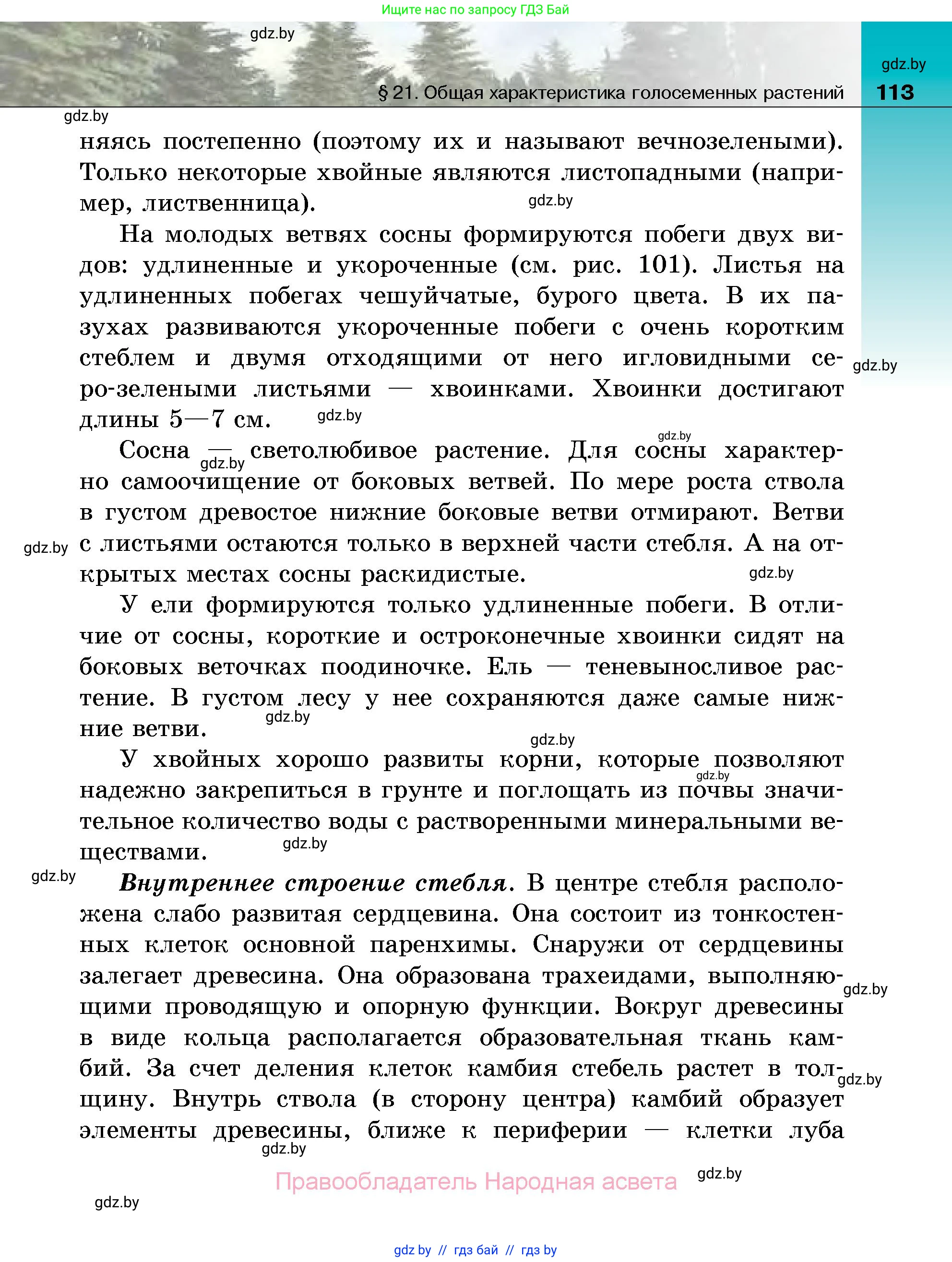 Биология, 7 класс Учебник, автор: Лисов Николай Дмитриевич, издательство Народная асвета, Минск, 2022, зелёного цвета, страница 113