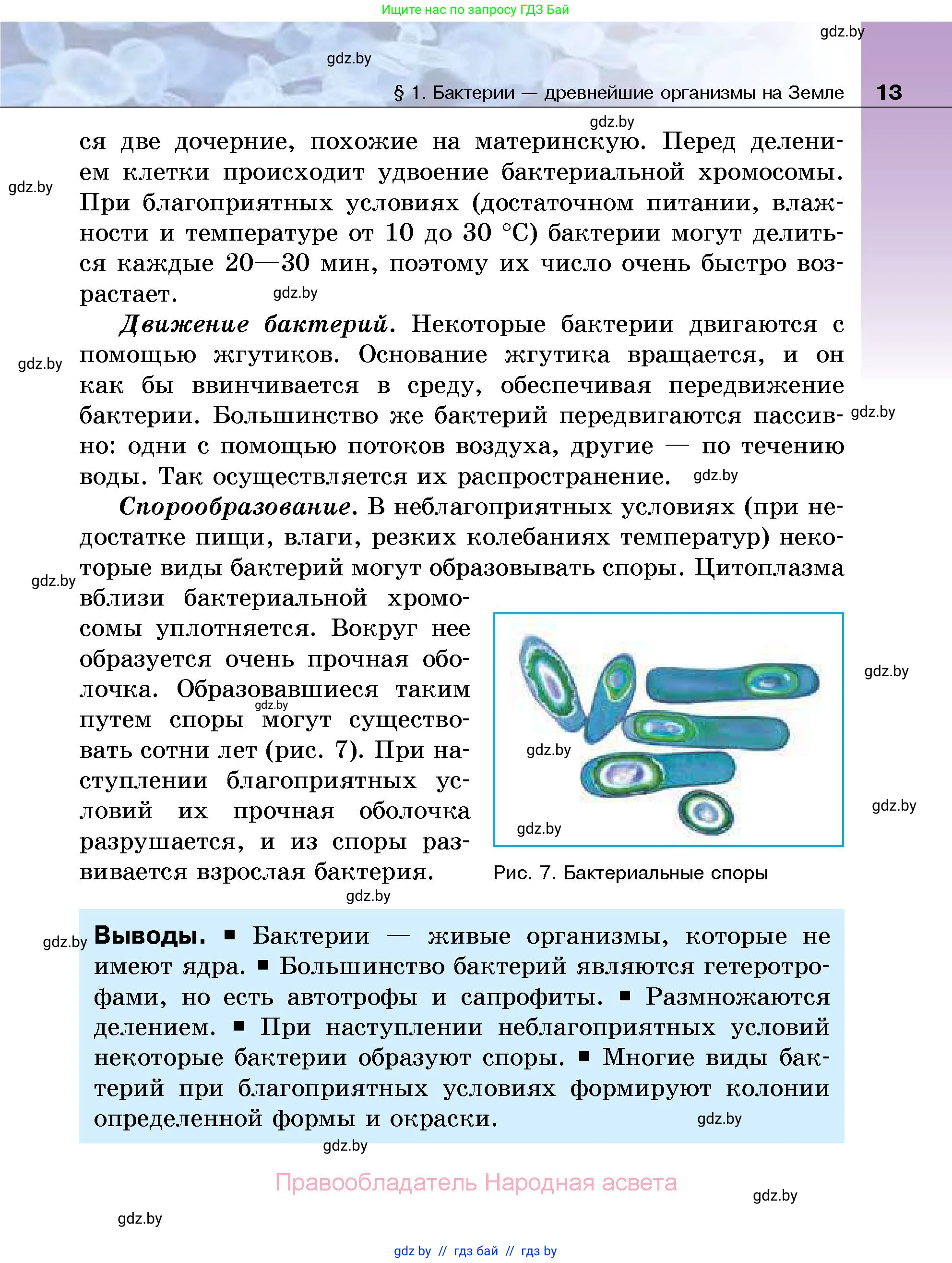 Биология, 7 класс Учебник, автор: Лисов Николай Дмитриевич, издательство Народная асвета, Минск, 2022, зелёного цвета, страница 13