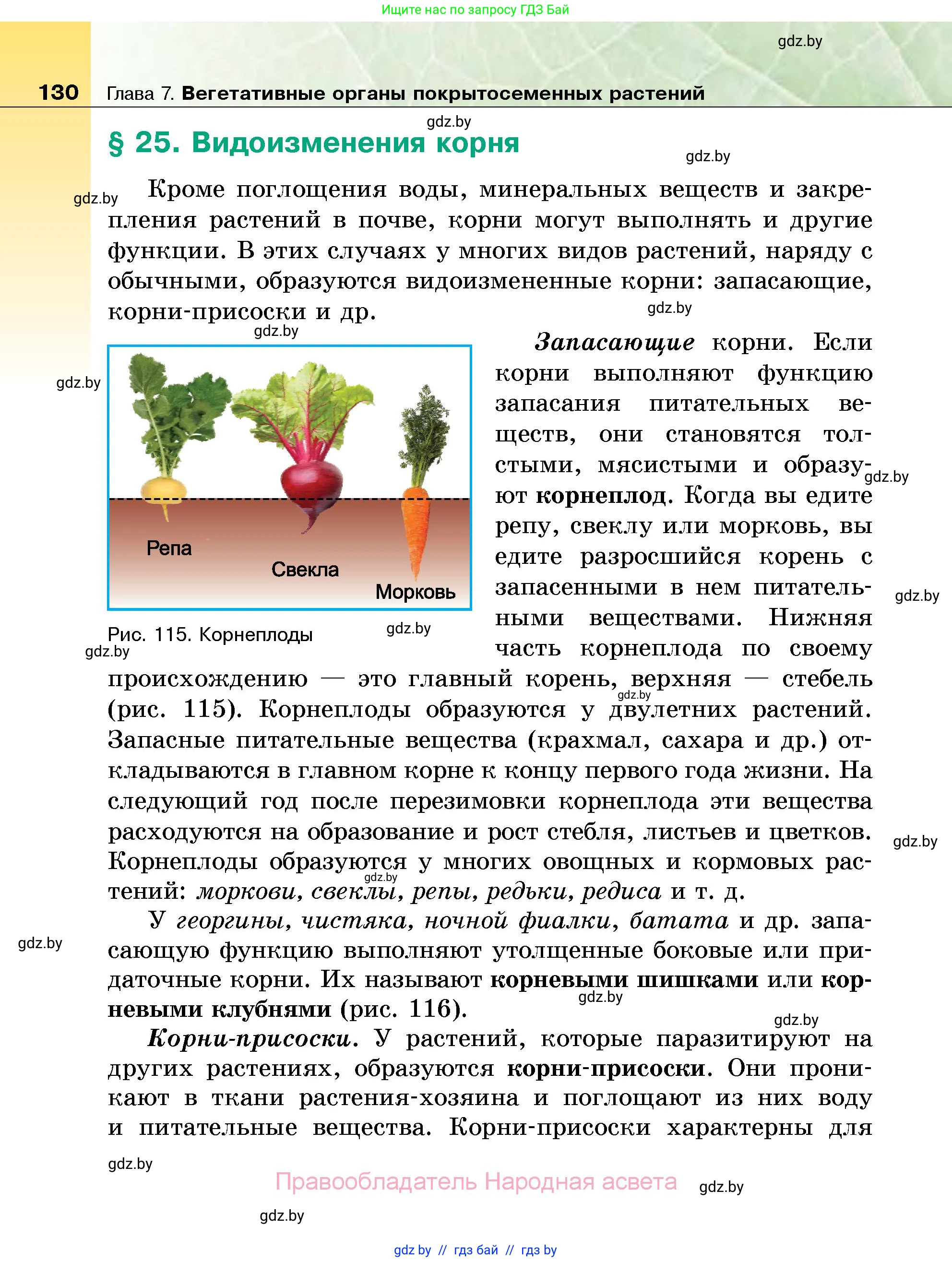 Биология, 7 класс Учебник, автор: Лисов Николай Дмитриевич, издательство Народная асвета, Минск, 2022, зелёного цвета, страница 130
