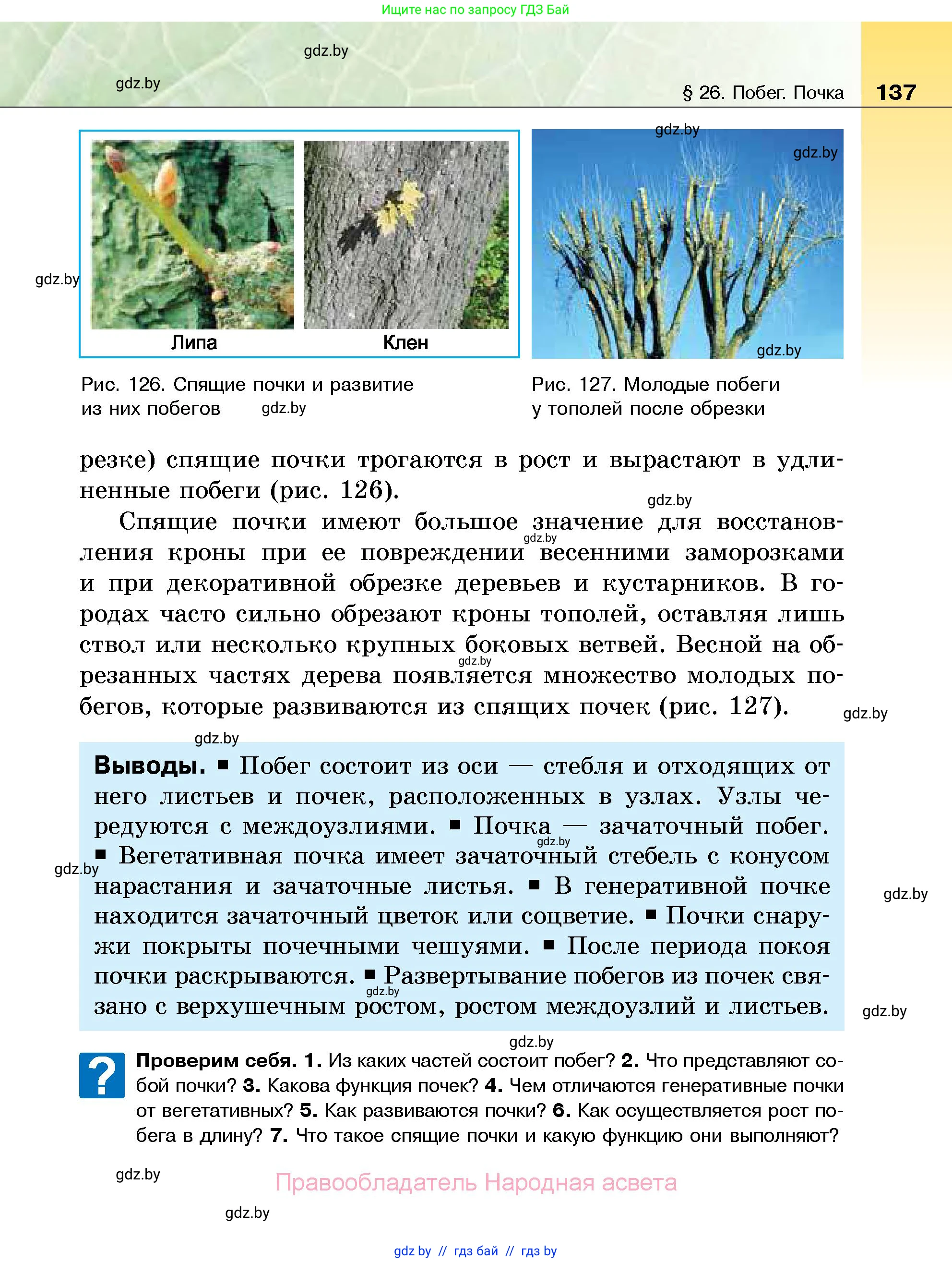 Биология, 7 класс Учебник, автор: Лисов Николай Дмитриевич, издательство Народная асвета, Минск, 2022, зелёного цвета, страница 137