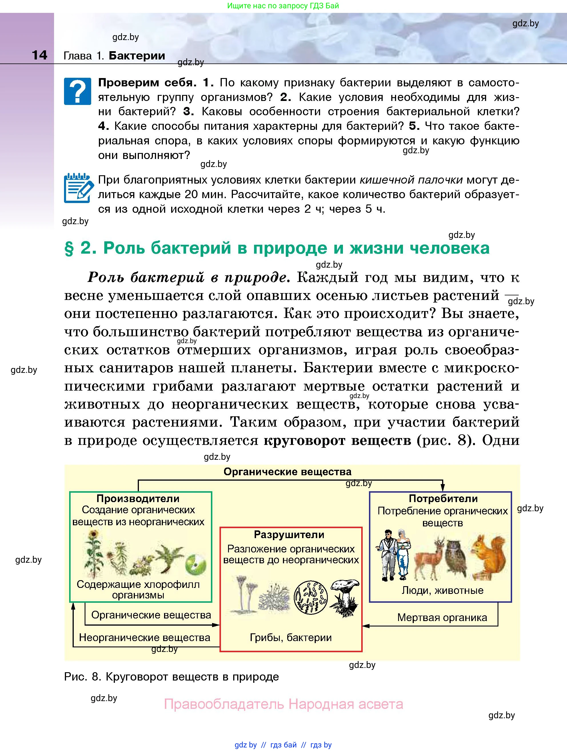 Биология, 7 класс Учебник, автор: Лисов Николай Дмитриевич, издательство Народная асвета, Минск, 2022, зелёного цвета, страница 14