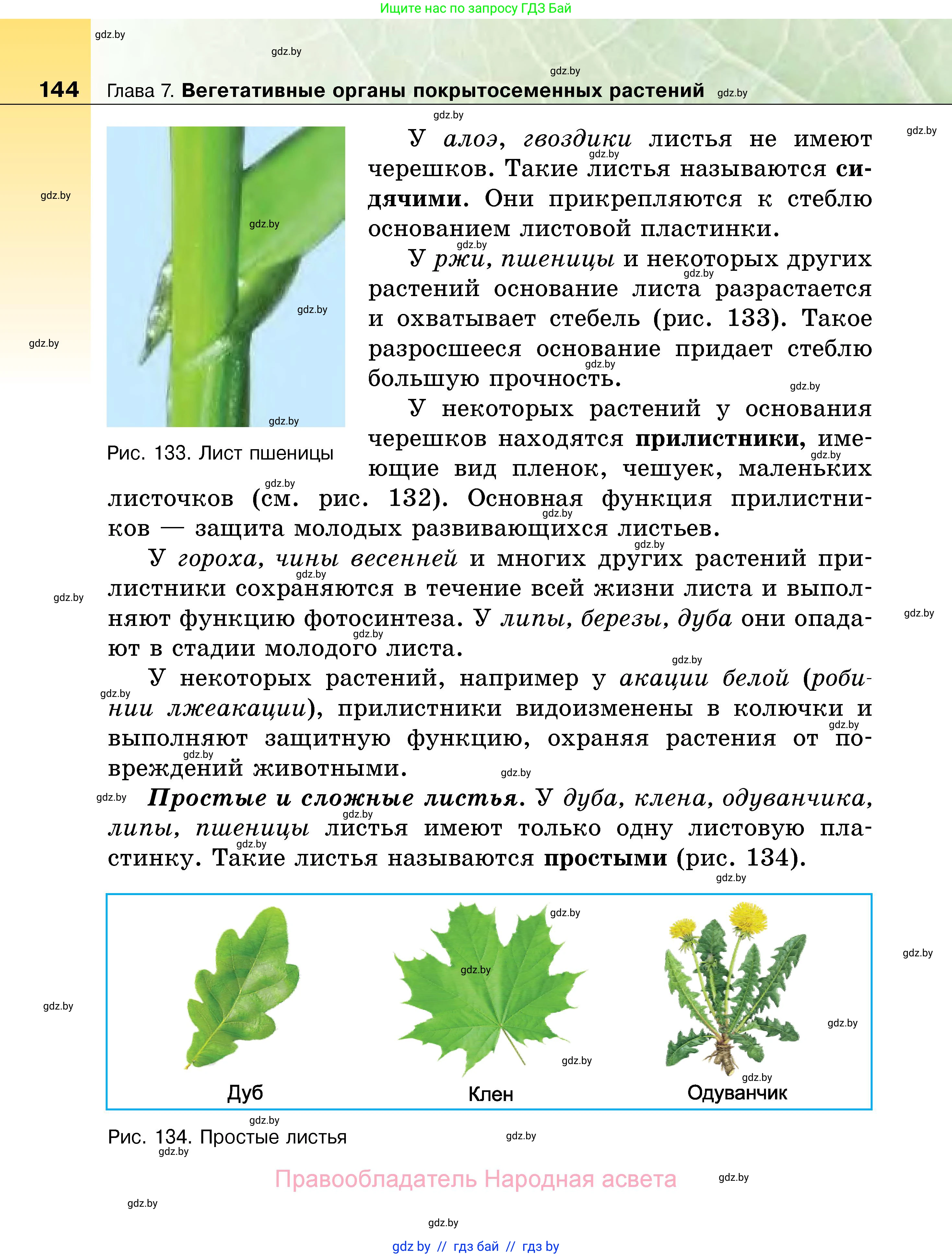 Биология, 7 класс Учебник, автор: Лисов Николай Дмитриевич, издательство Народная асвета, Минск, 2022, зелёного цвета, страница 144