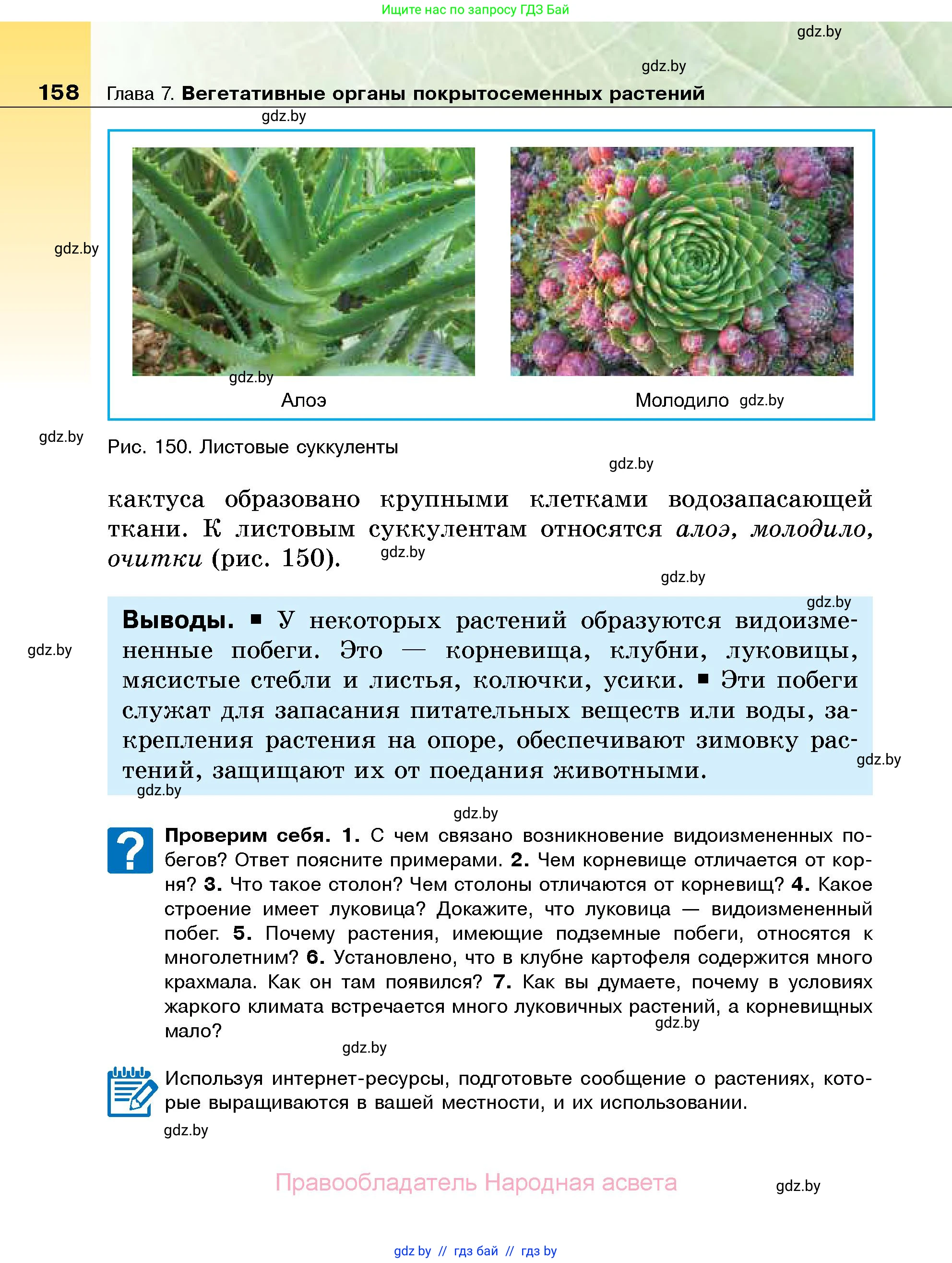 Биология, 7 класс Учебник, автор: Лисов Николай Дмитриевич, издательство Народная асвета, Минск, 2022, зелёного цвета, страница 158