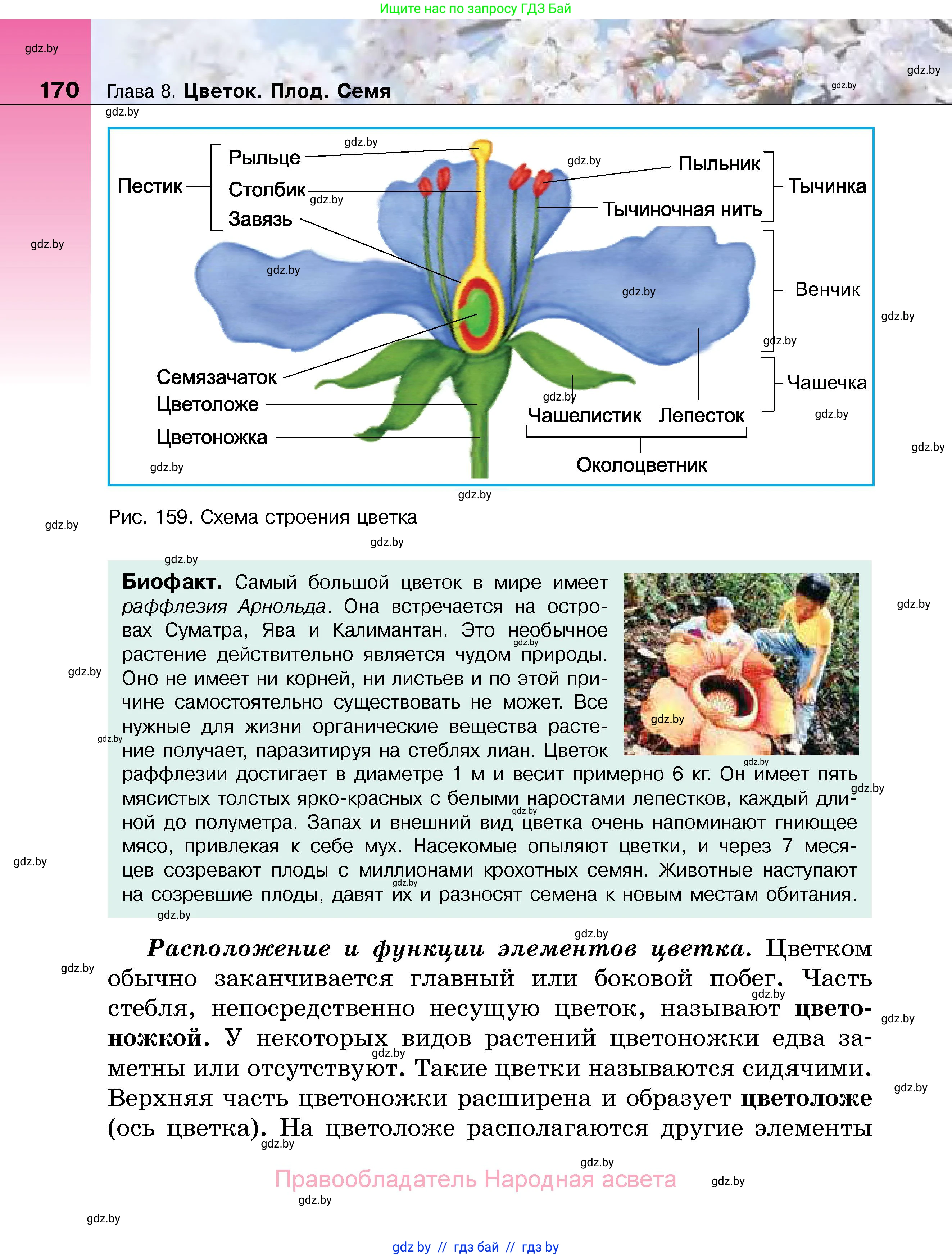 Биология, 7 класс Учебник, автор: Лисов Николай Дмитриевич, издательство Народная асвета, Минск, 2022, зелёного цвета, страница 170