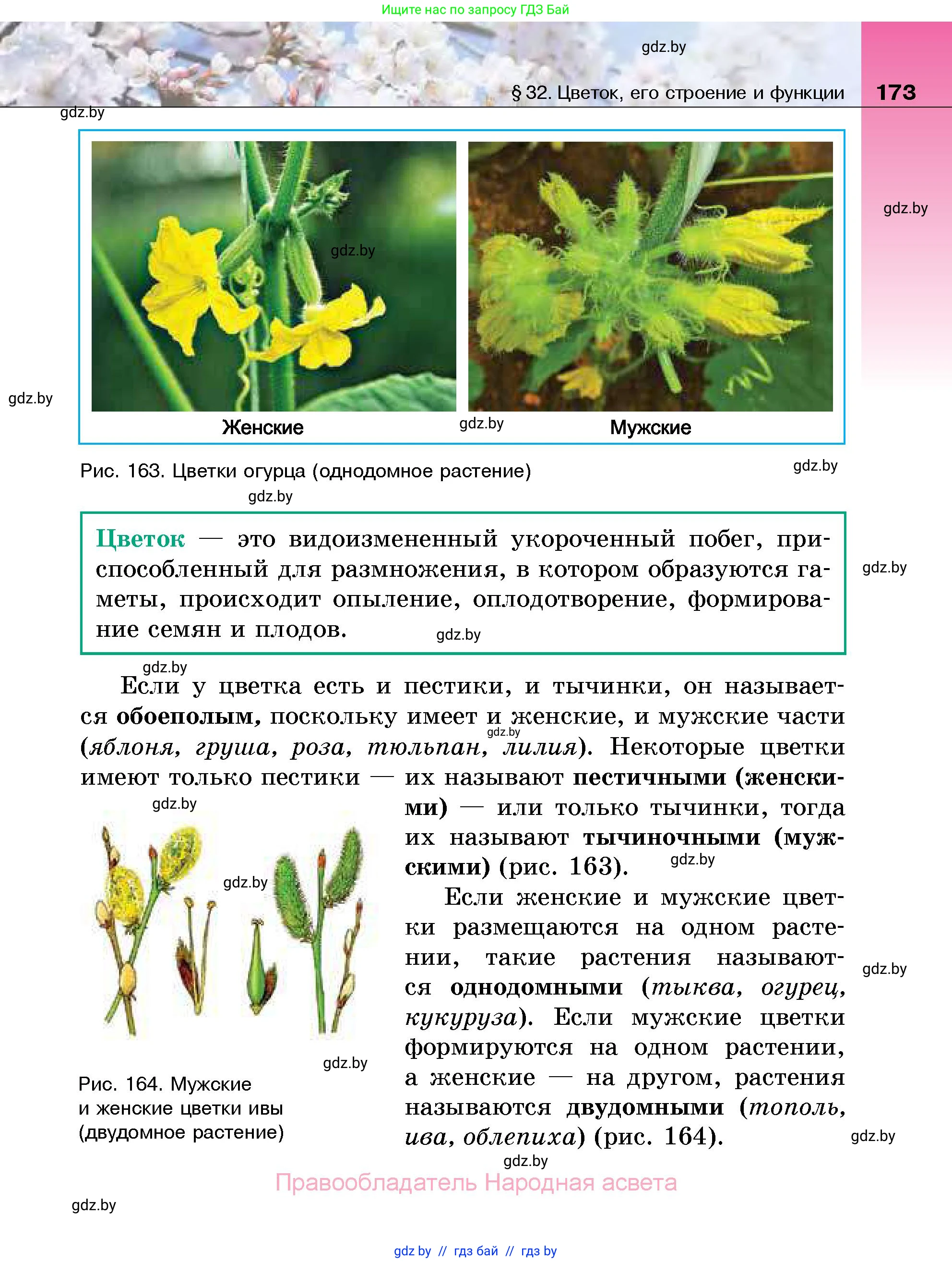 Биология, 7 класс Учебник, автор: Лисов Николай Дмитриевич, издательство Народная асвета, Минск, 2022, зелёного цвета, страница 173