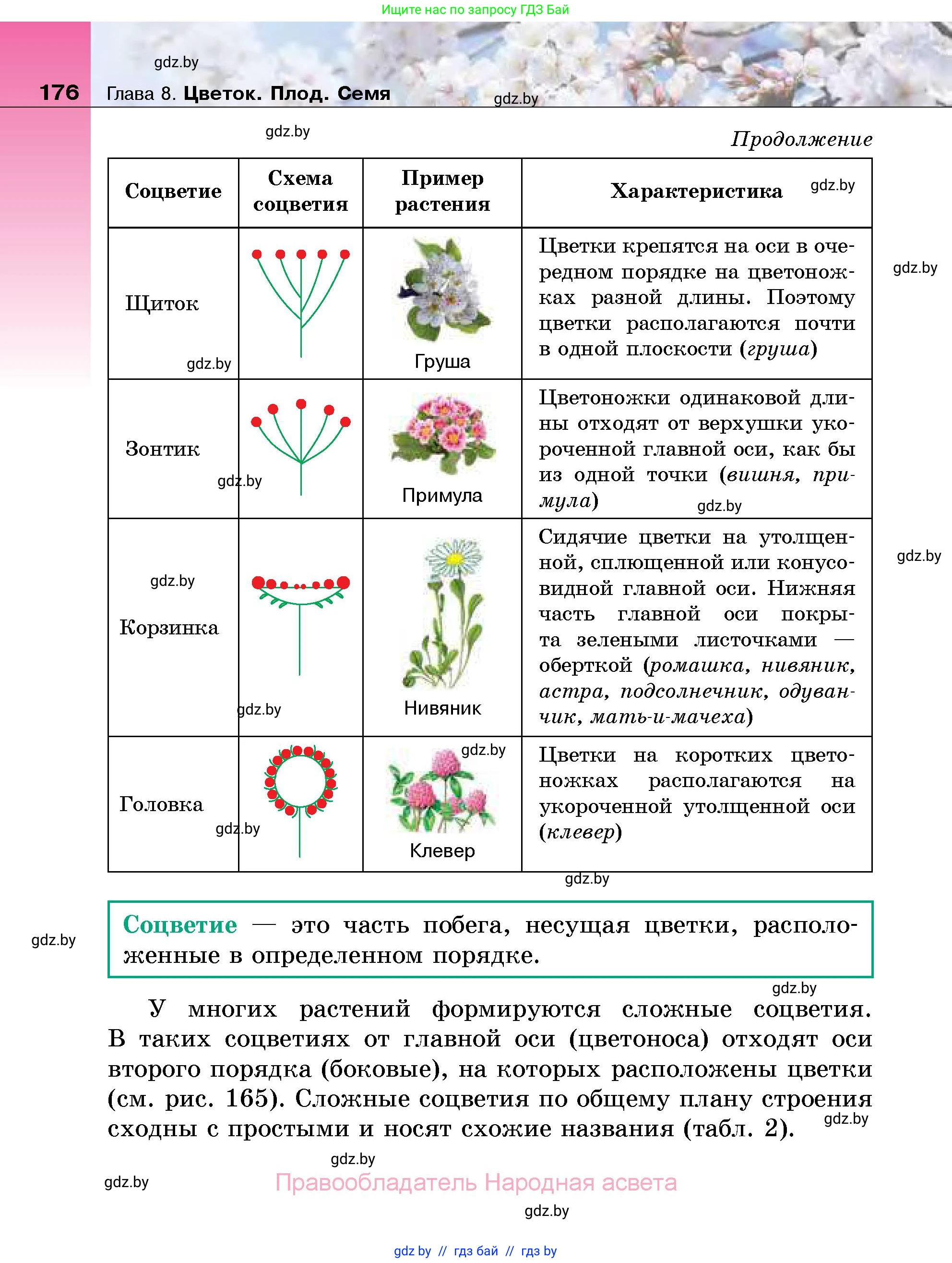 Биология, 7 класс Учебник, автор: Лисов Николай Дмитриевич, издательство Народная асвета, Минск, 2022, зелёного цвета, страница 176