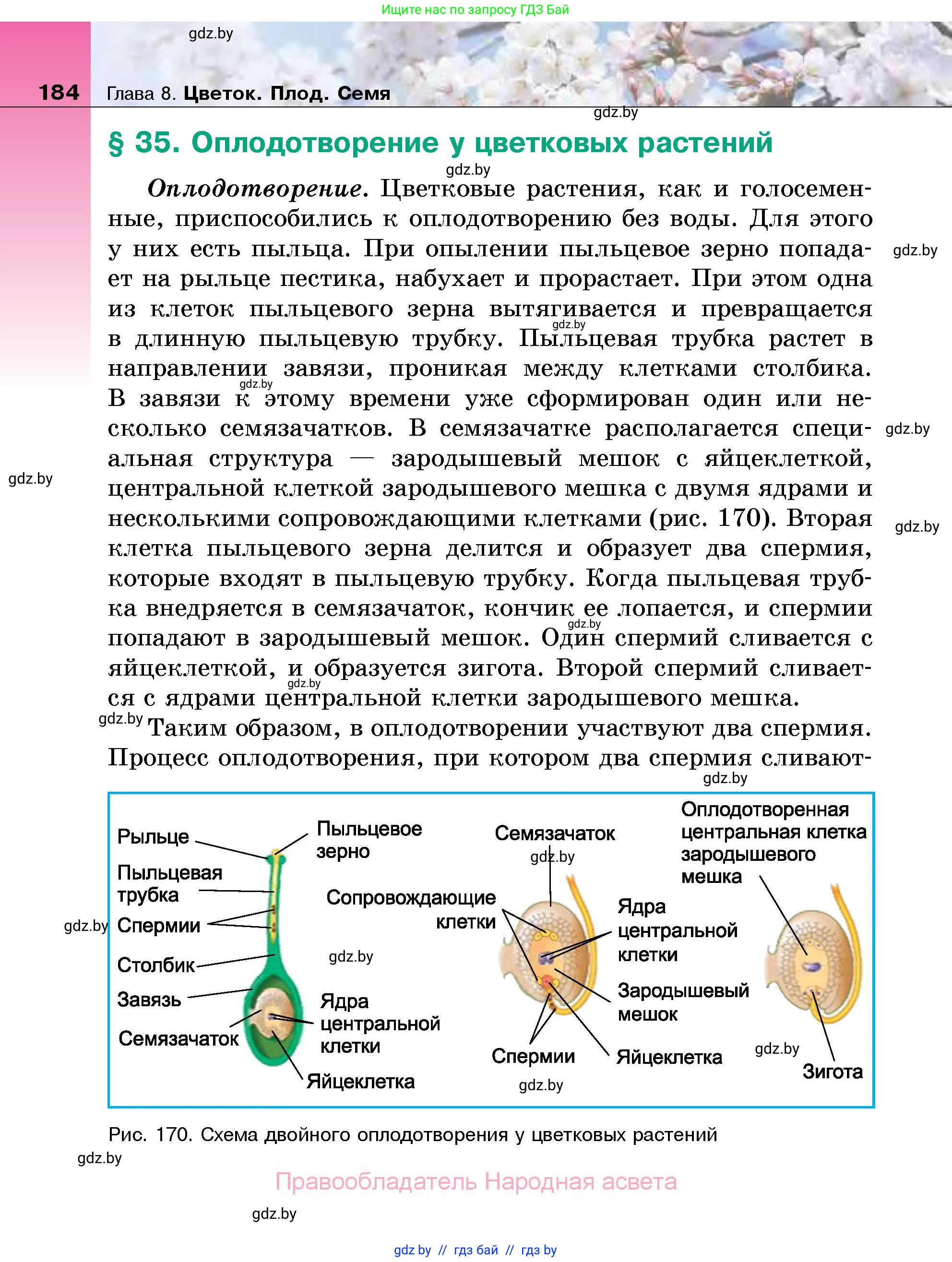 Биология, 7 класс Учебник, автор: Лисов Николай Дмитриевич, издательство Народная асвета, Минск, 2022, зелёного цвета, страница 184