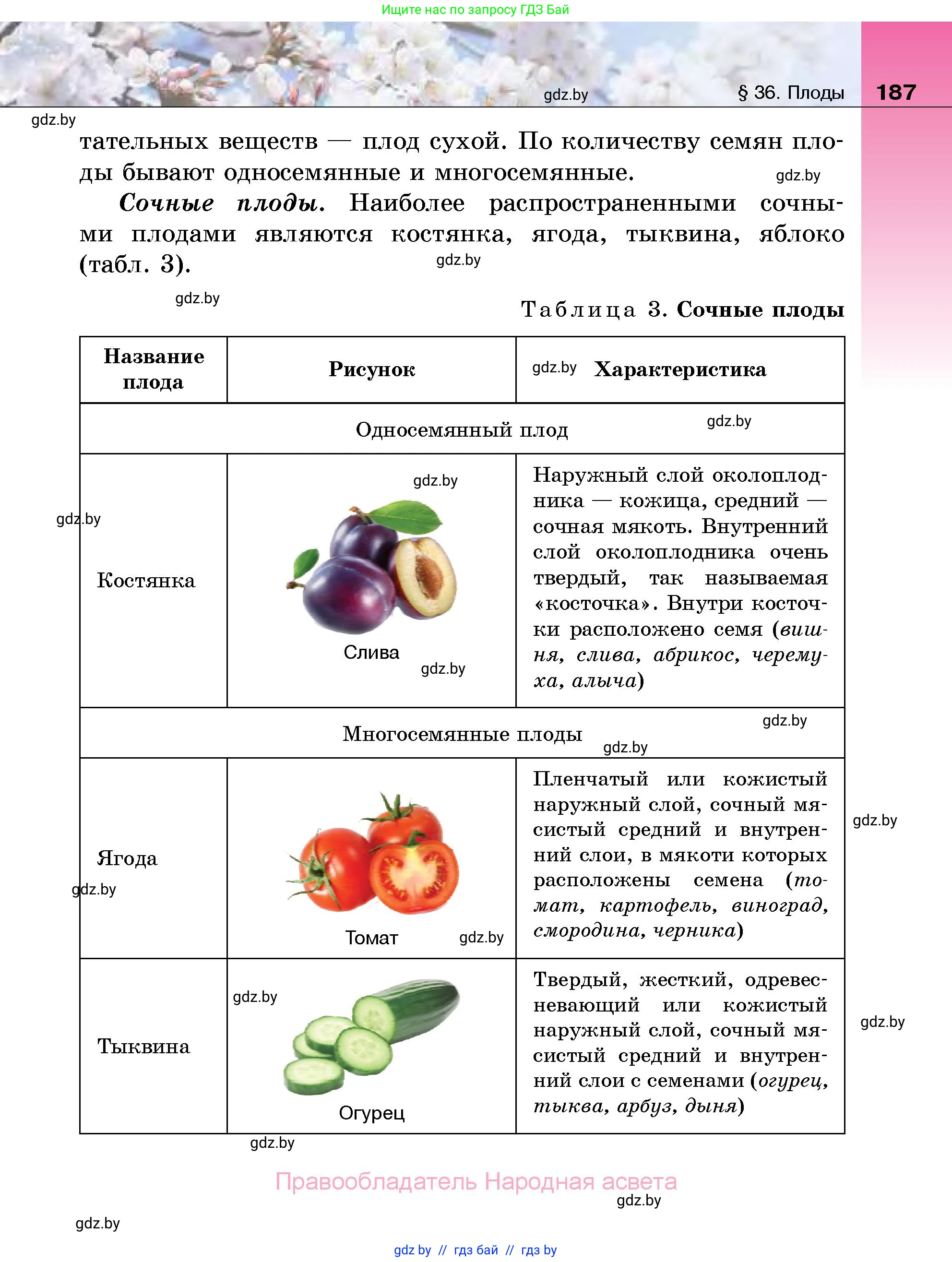 Биология, 7 класс Учебник, автор: Лисов Николай Дмитриевич, издательство Народная асвета, Минск, 2022, зелёного цвета, страница 187