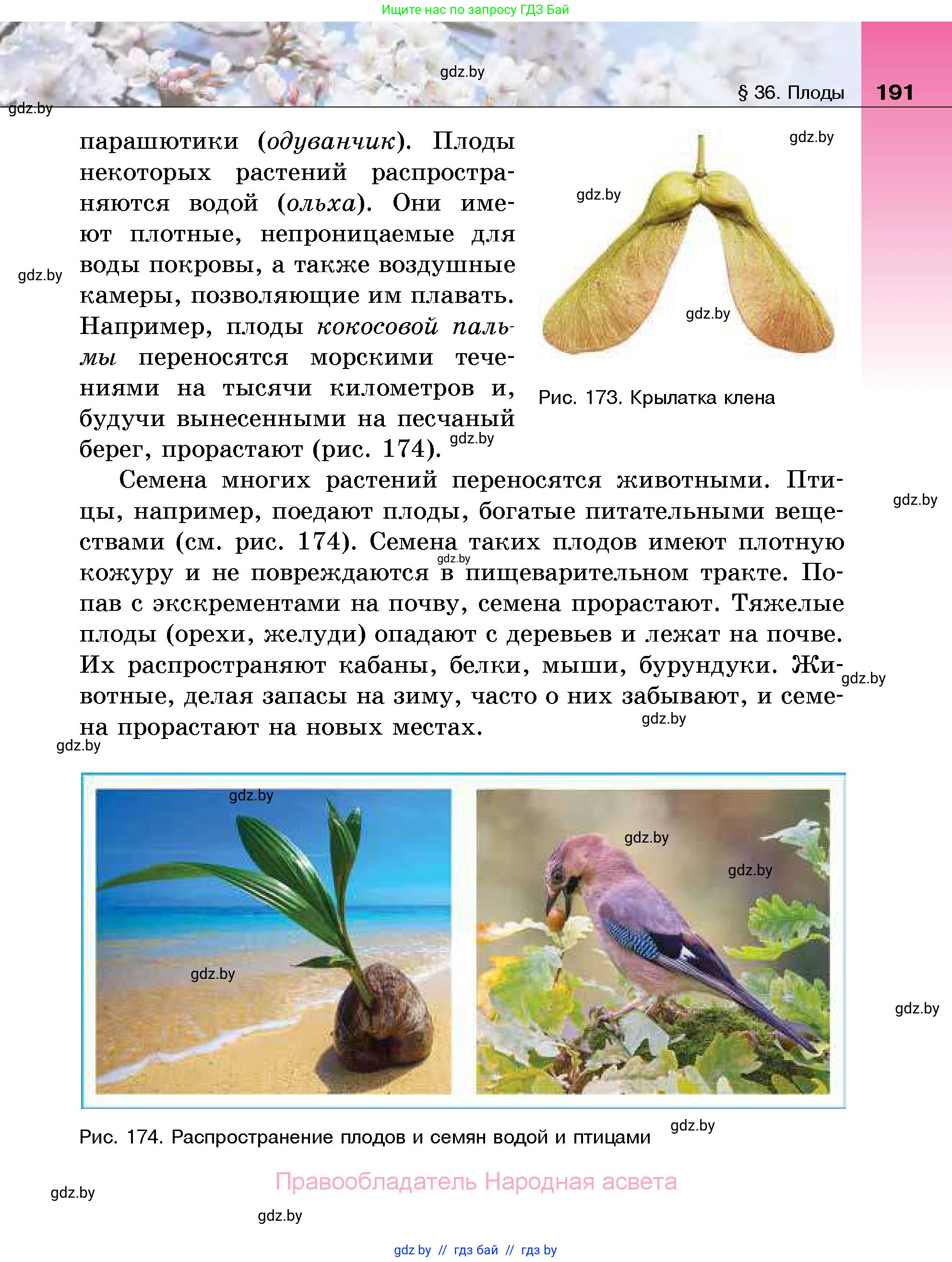 Биология, 7 класс Учебник, автор: Лисов Николай Дмитриевич, издательство Народная асвета, Минск, 2022, зелёного цвета, страница 191