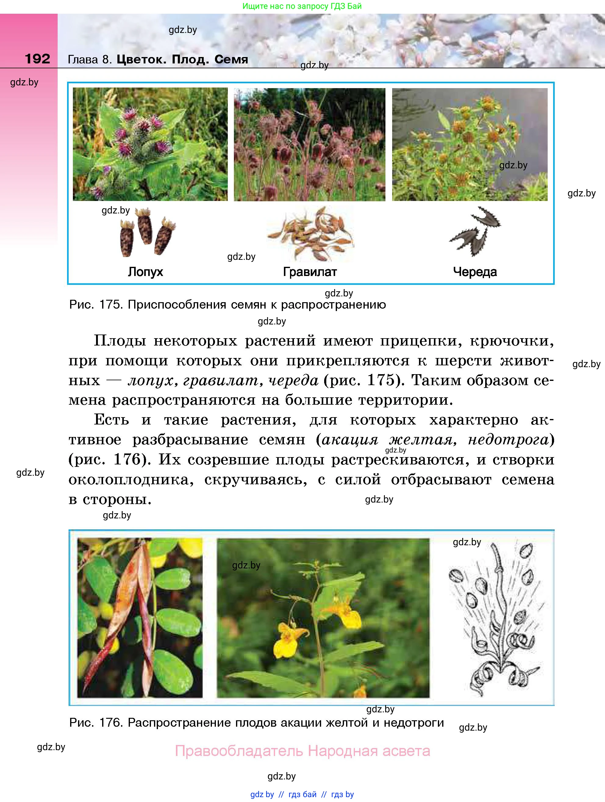 Биология, 7 класс Учебник, автор: Лисов Николай Дмитриевич, издательство Народная асвета, Минск, 2022, зелёного цвета, страница 192