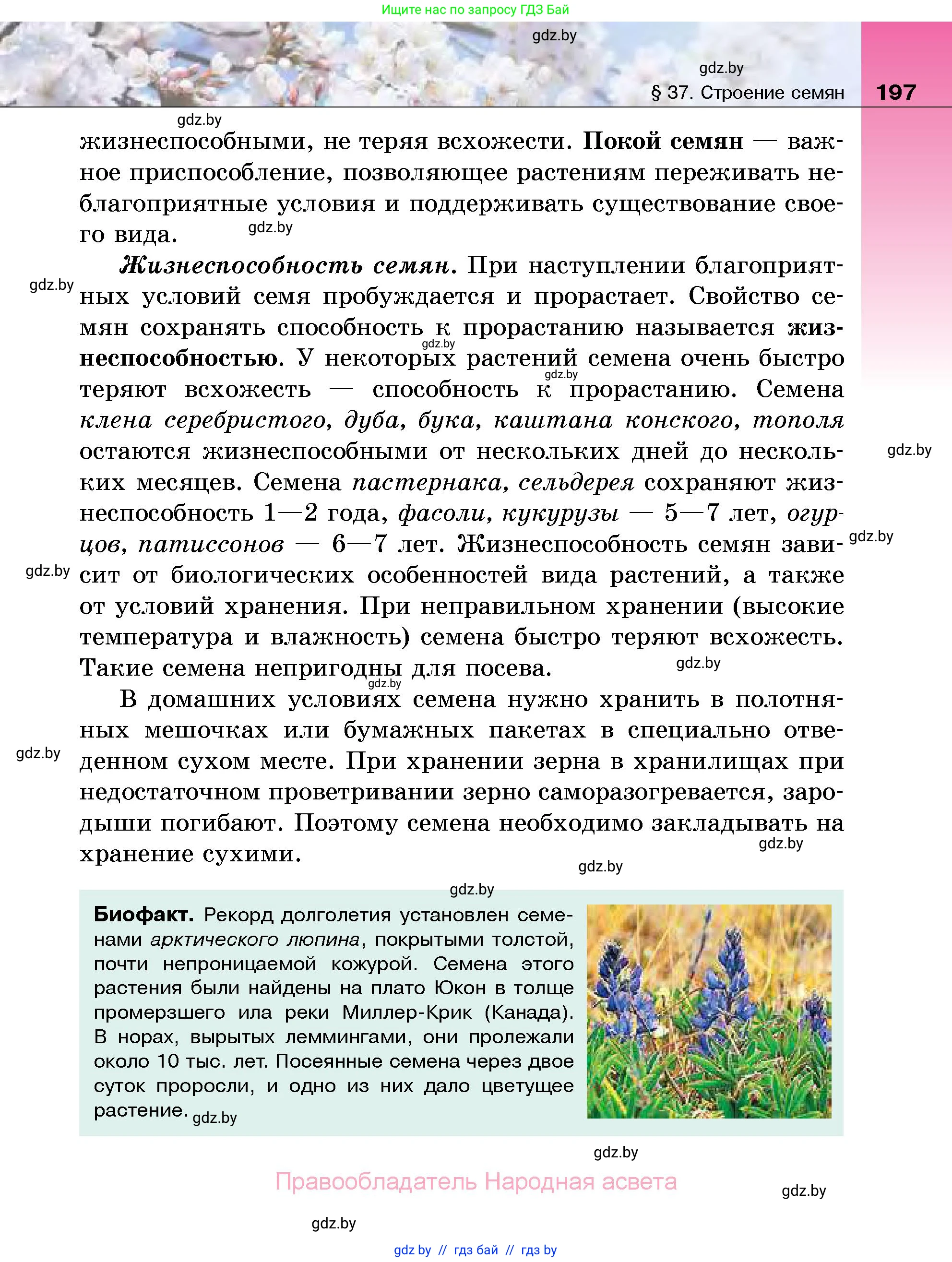 Биология, 7 класс Учебник, автор: Лисов Николай Дмитриевич, издательство Народная асвета, Минск, 2022, зелёного цвета, страница 197