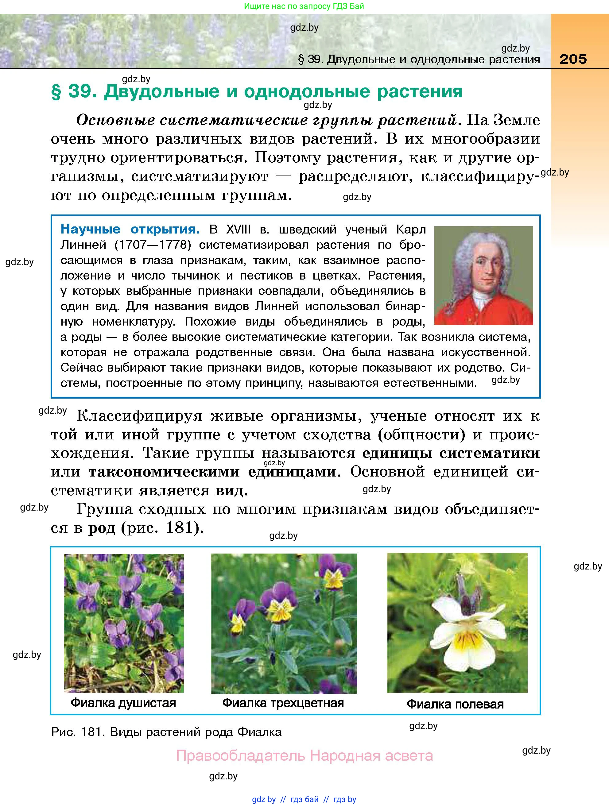 Биология, 7 класс Учебник, автор: Лисов Николай Дмитриевич, издательство Народная асвета, Минск, 2022, зелёного цвета, страница 205