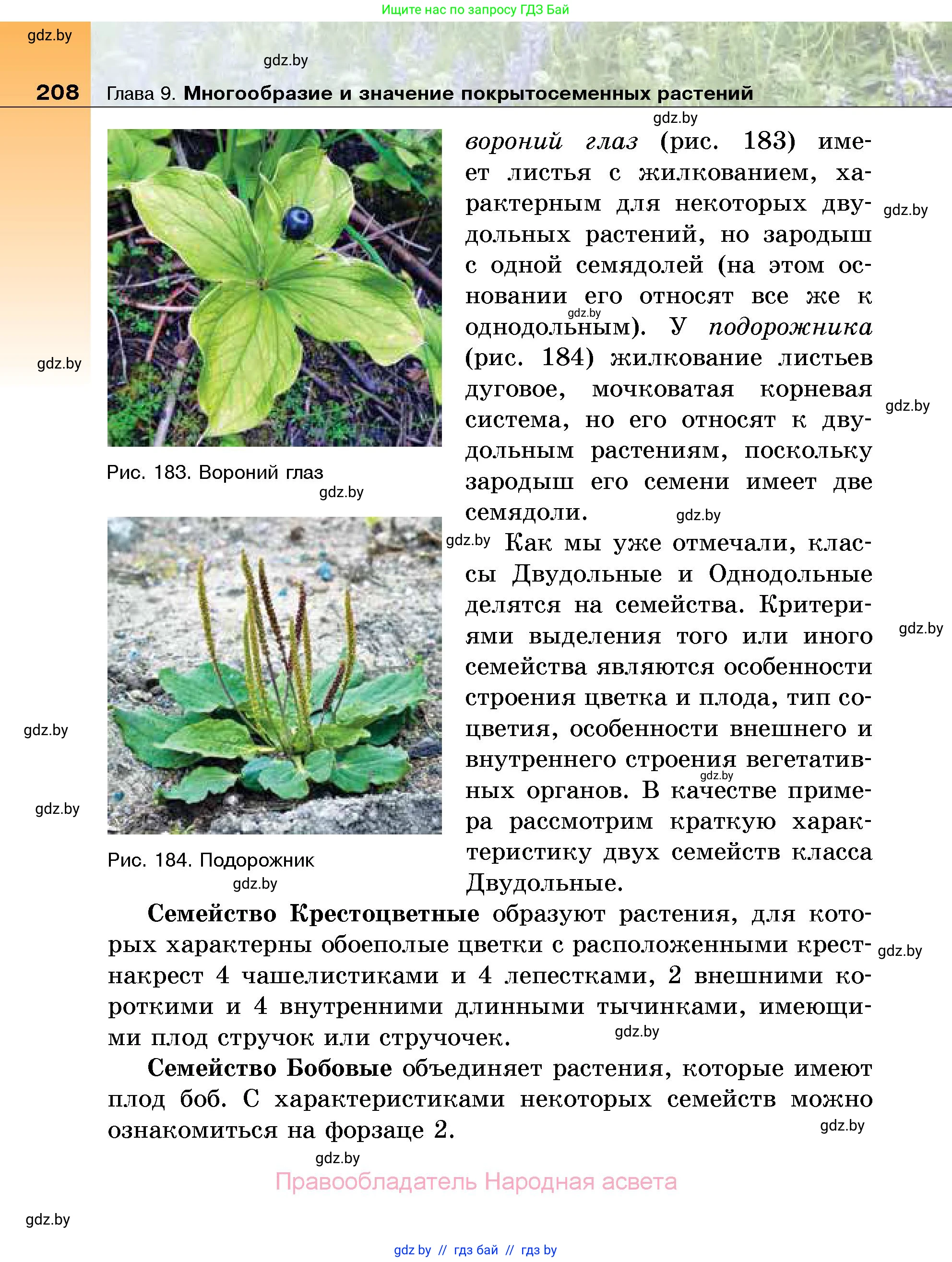 Биология, 7 класс Учебник, автор: Лисов Николай Дмитриевич, издательство Народная асвета, Минск, 2022, зелёного цвета, страница 208