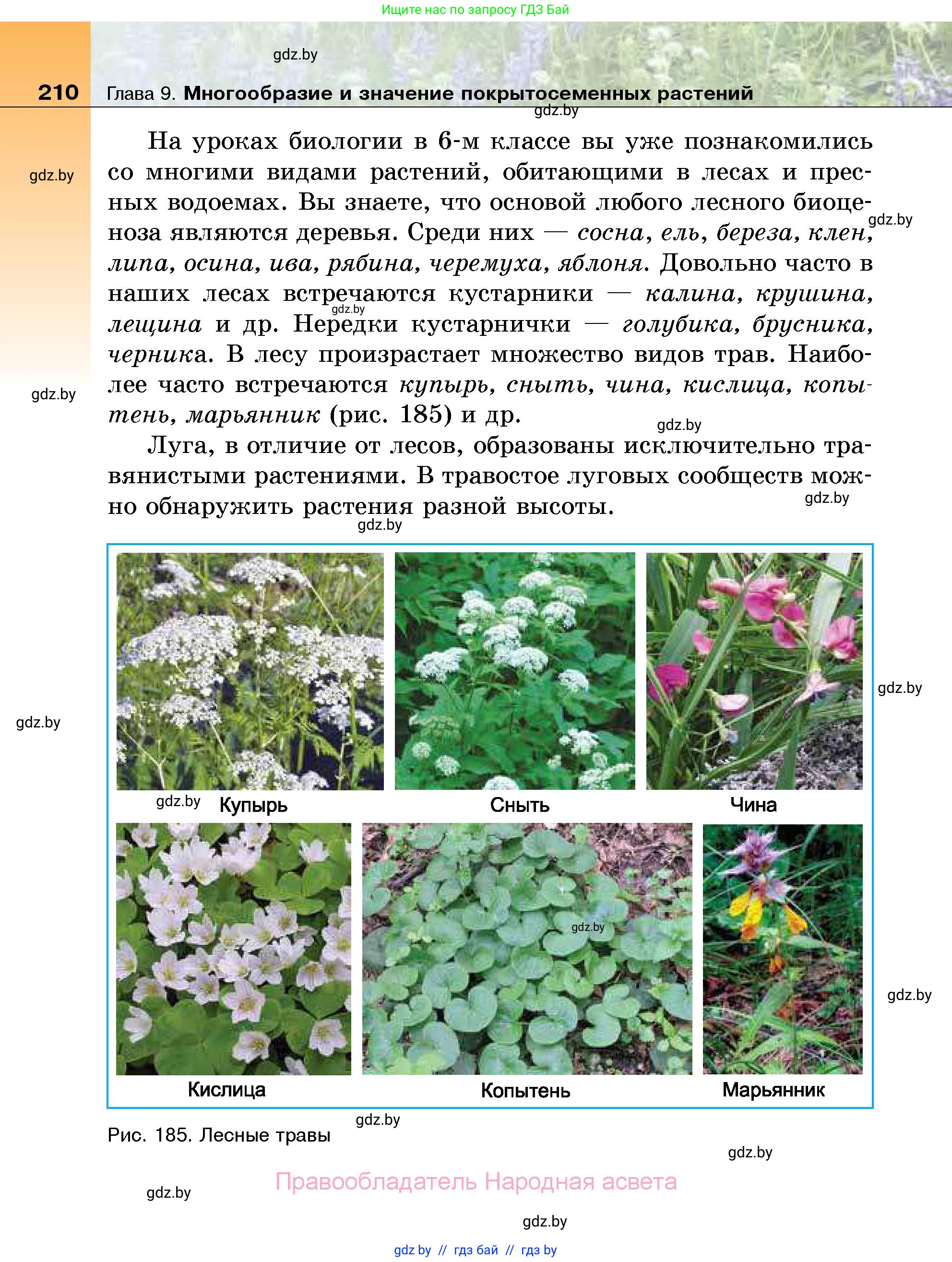 Биология, 7 класс Учебник, автор: Лисов Николай Дмитриевич, издательство Народная асвета, Минск, 2022, зелёного цвета, страница 210
