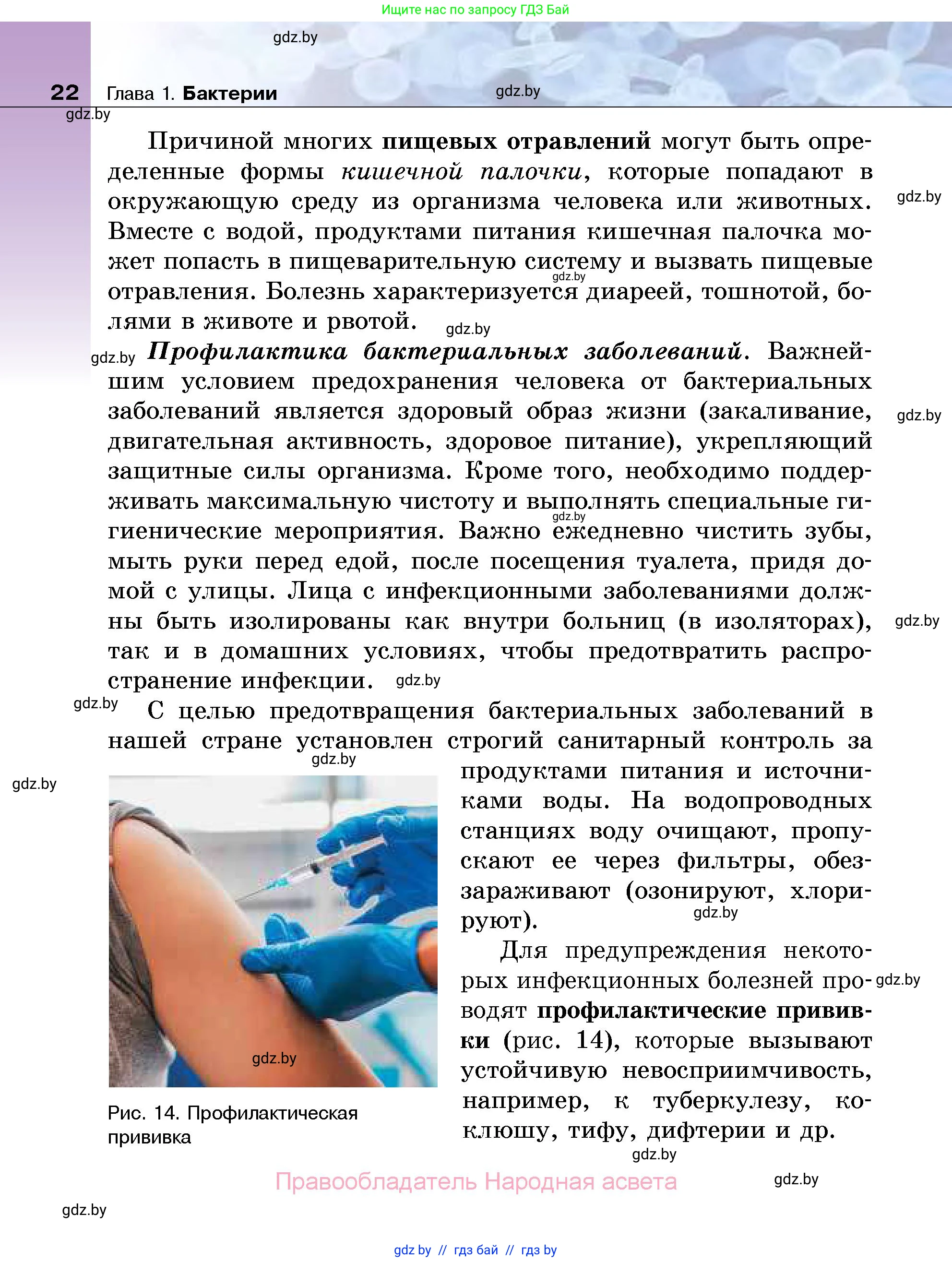 Биология, 7 класс Учебник, автор: Лисов Николай Дмитриевич, издательство Народная асвета, Минск, 2022, зелёного цвета, страница 22