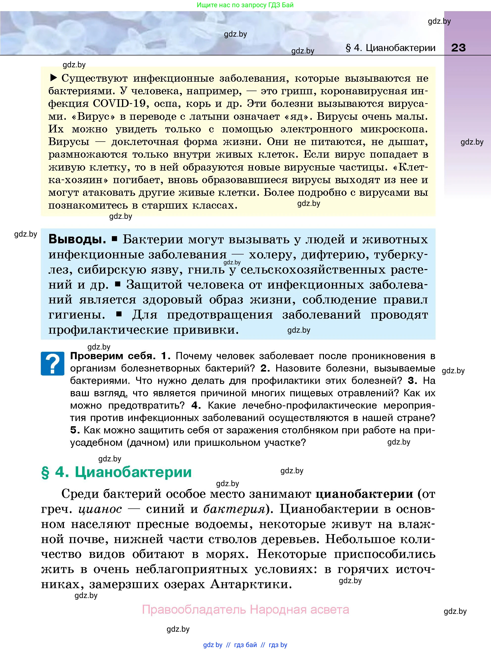 Биология, 7 класс Учебник, автор: Лисов Николай Дмитриевич, издательство Народная асвета, Минск, 2022, зелёного цвета, страница 23