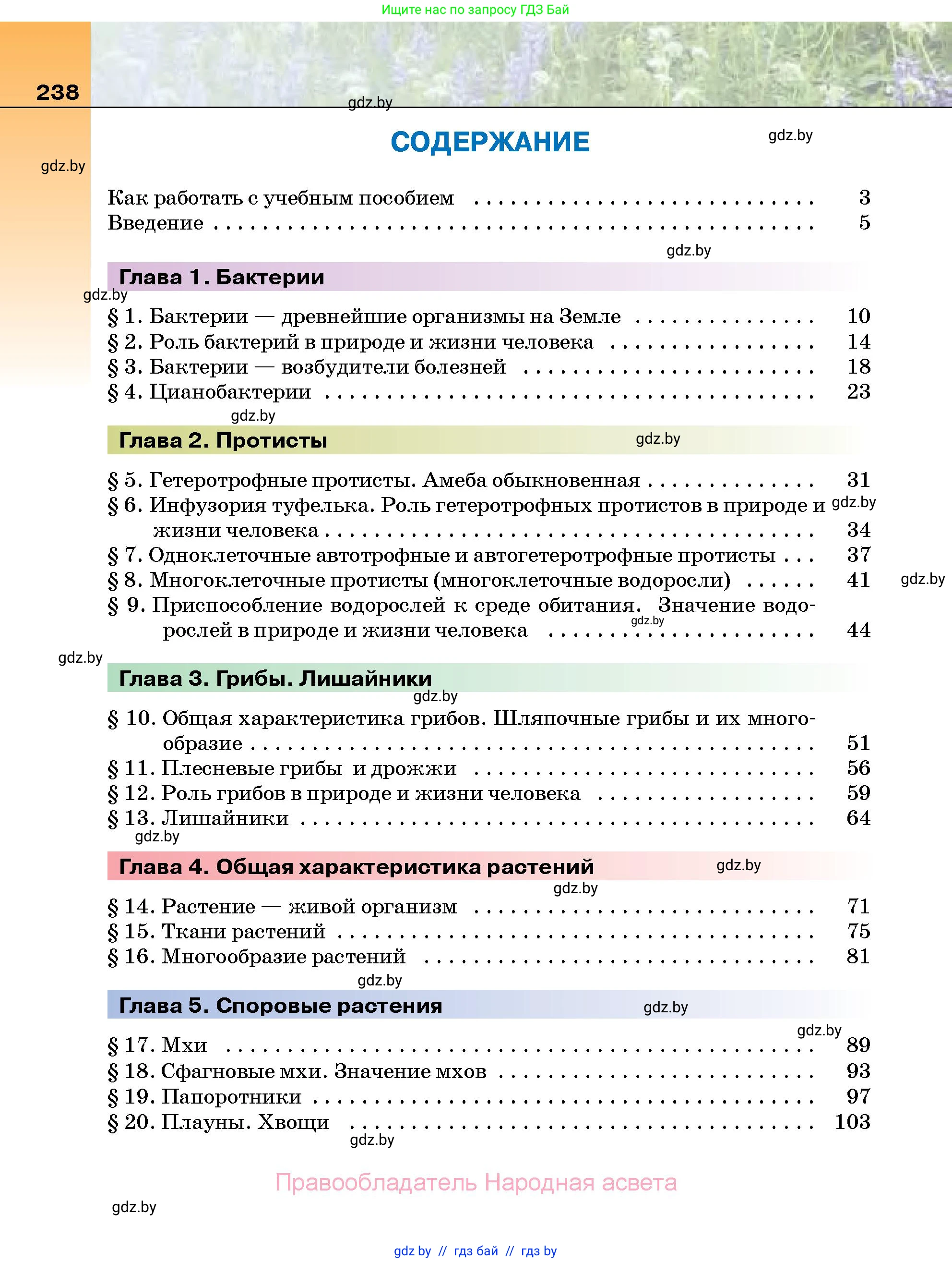 Биология, 7 класс Учебник, автор: Лисов Николай Дмитриевич, издательство Народная асвета, Минск, 2022, зелёного цвета, страница 238