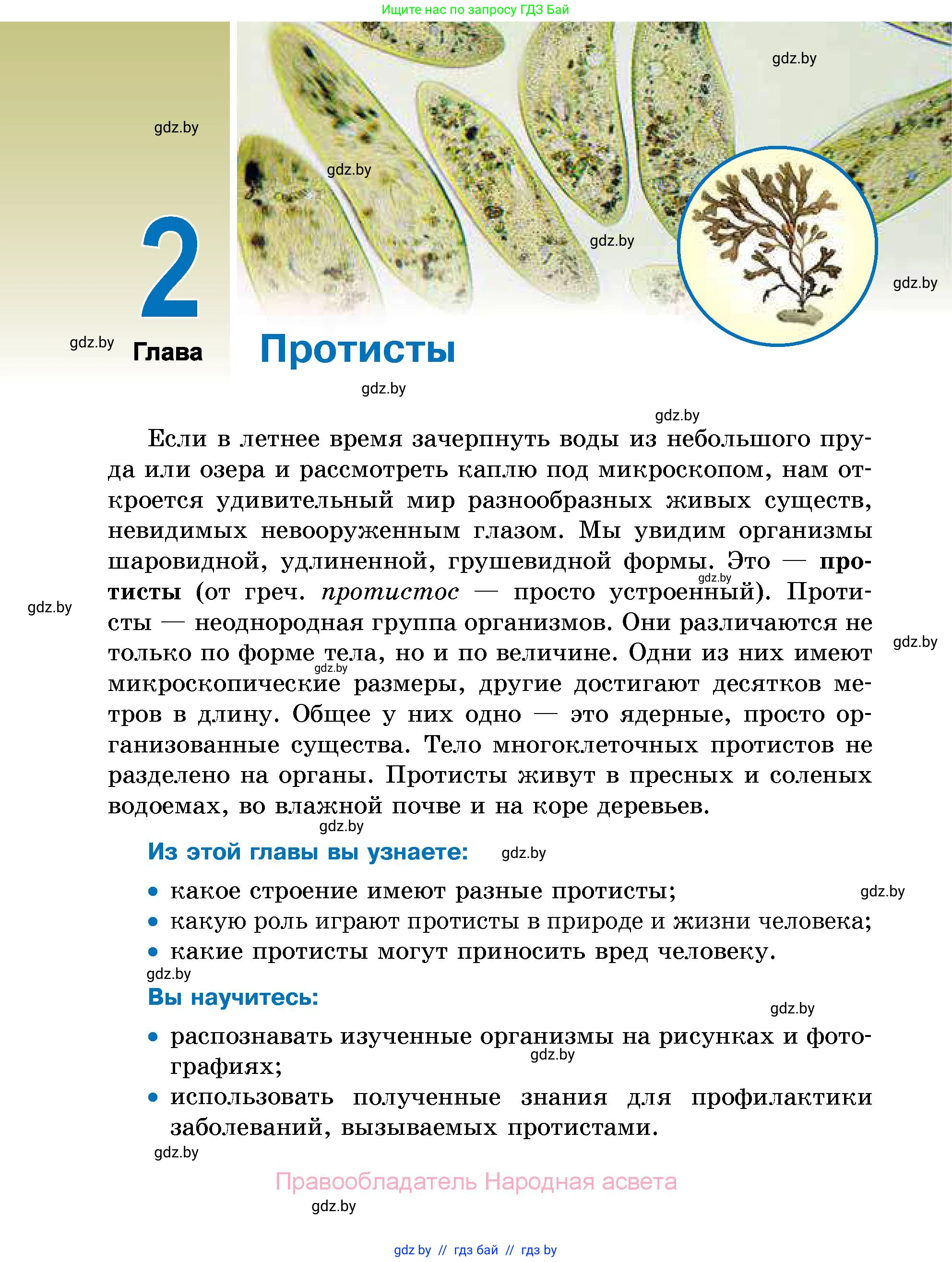 Биология, 7 класс Учебник, автор: Лисов Николай Дмитриевич, издательство Народная асвета, Минск, 2022, зелёного цвета, страница 30