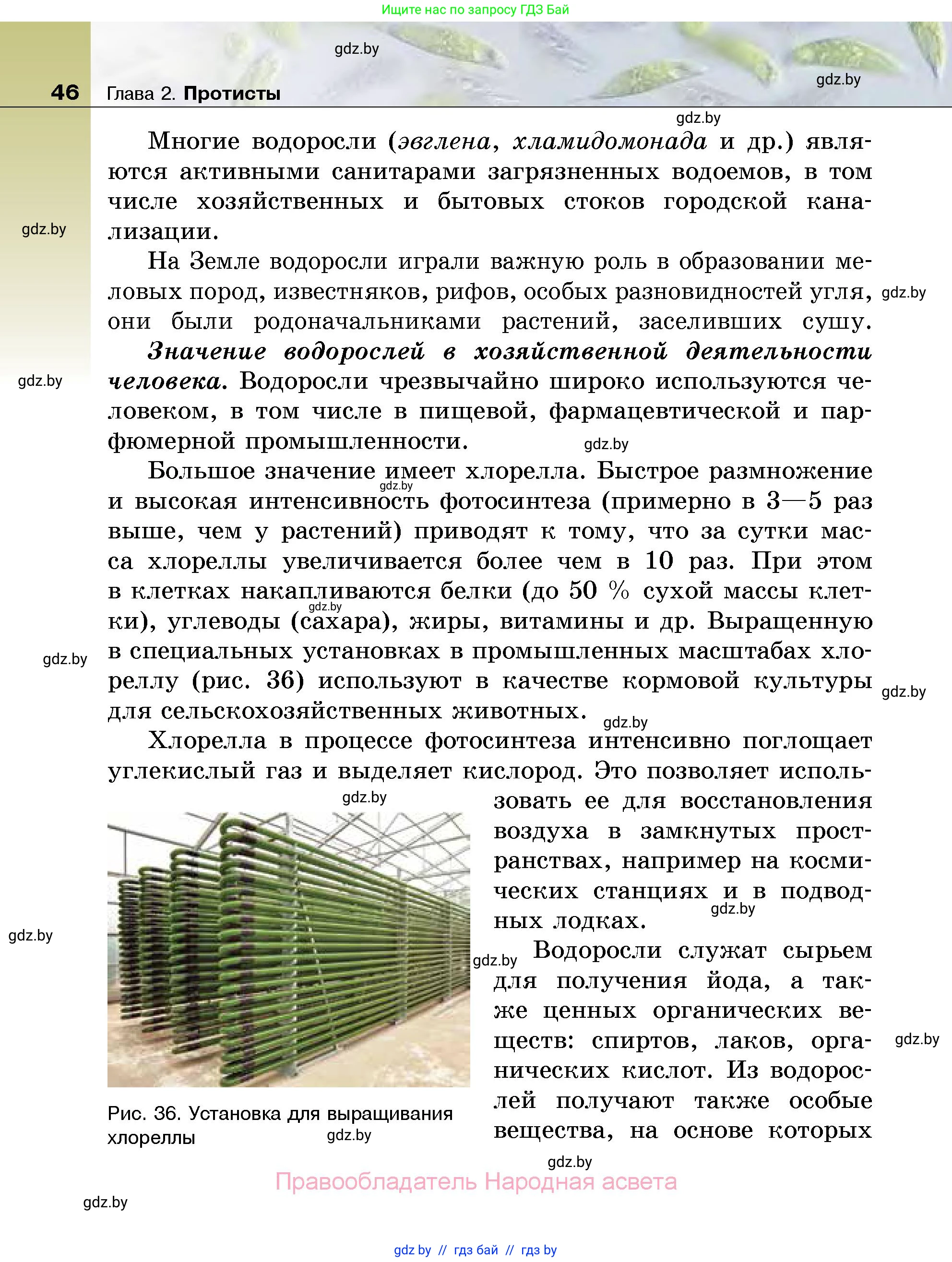 Биология, 7 класс Учебник, автор: Лисов Николай Дмитриевич, издательство Народная асвета, Минск, 2022, зелёного цвета, страница 46