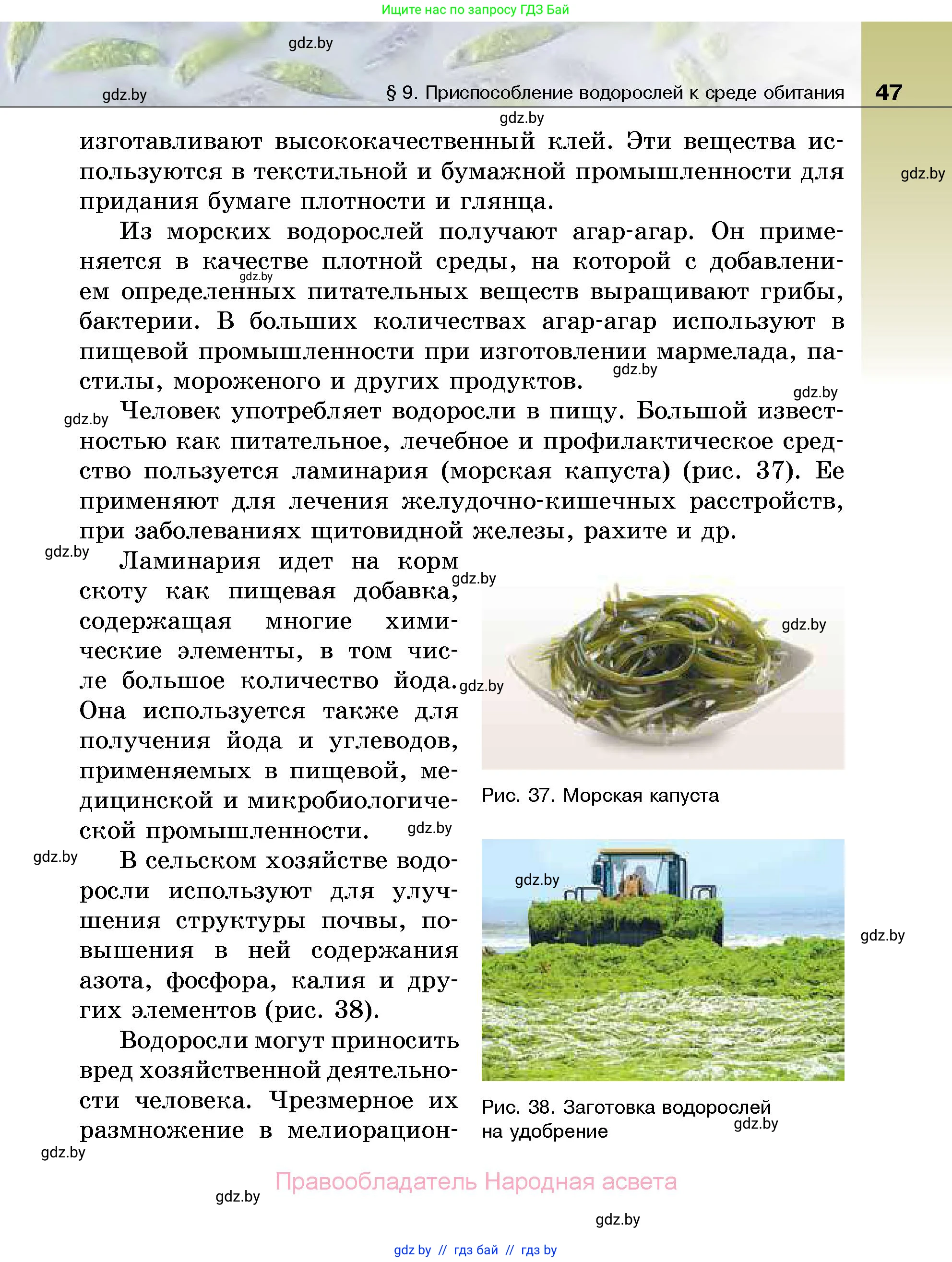 Биология, 7 класс Учебник, автор: Лисов Николай Дмитриевич, издательство Народная асвета, Минск, 2022, зелёного цвета, страница 47
