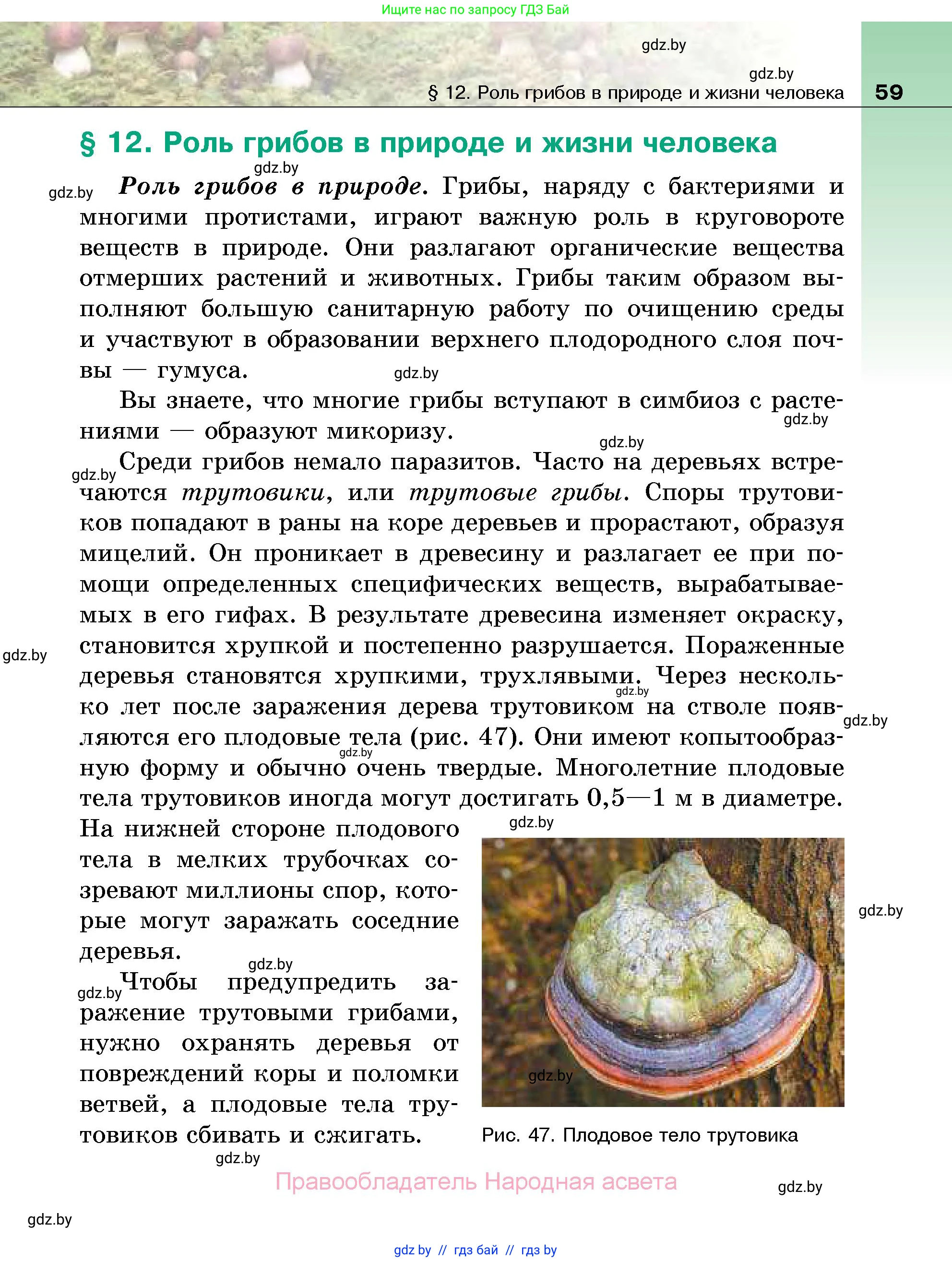 Биология, 7 класс Учебник, автор: Лисов Николай Дмитриевич, издательство Народная асвета, Минск, 2022, зелёного цвета, страница 59
