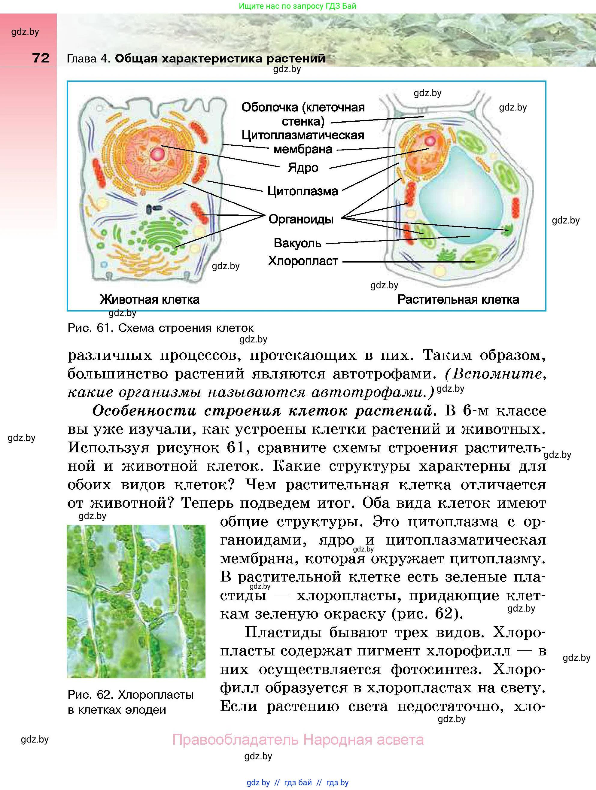 Биология, 7 класс Учебник, автор: Лисов Николай Дмитриевич, издательство Народная асвета, Минск, 2022, зелёного цвета, страница 72
