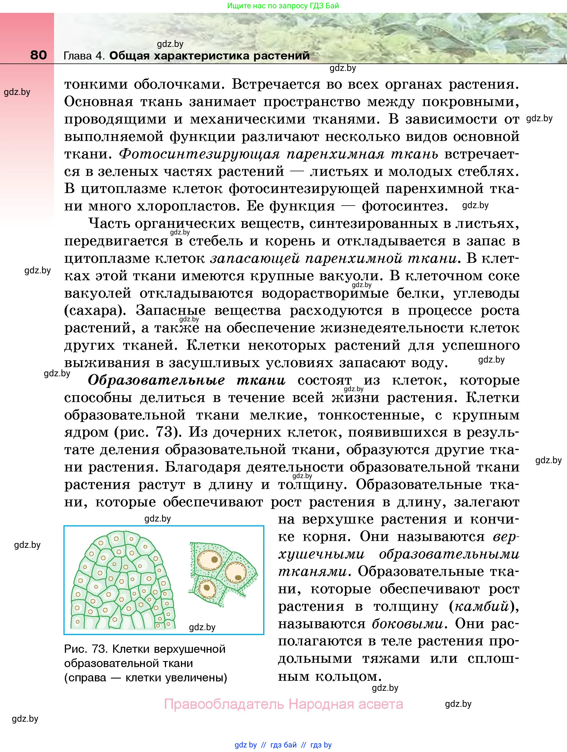 Биология, 7 класс Учебник, автор: Лисов Николай Дмитриевич, издательство Народная асвета, Минск, 2022, зелёного цвета, страница 80