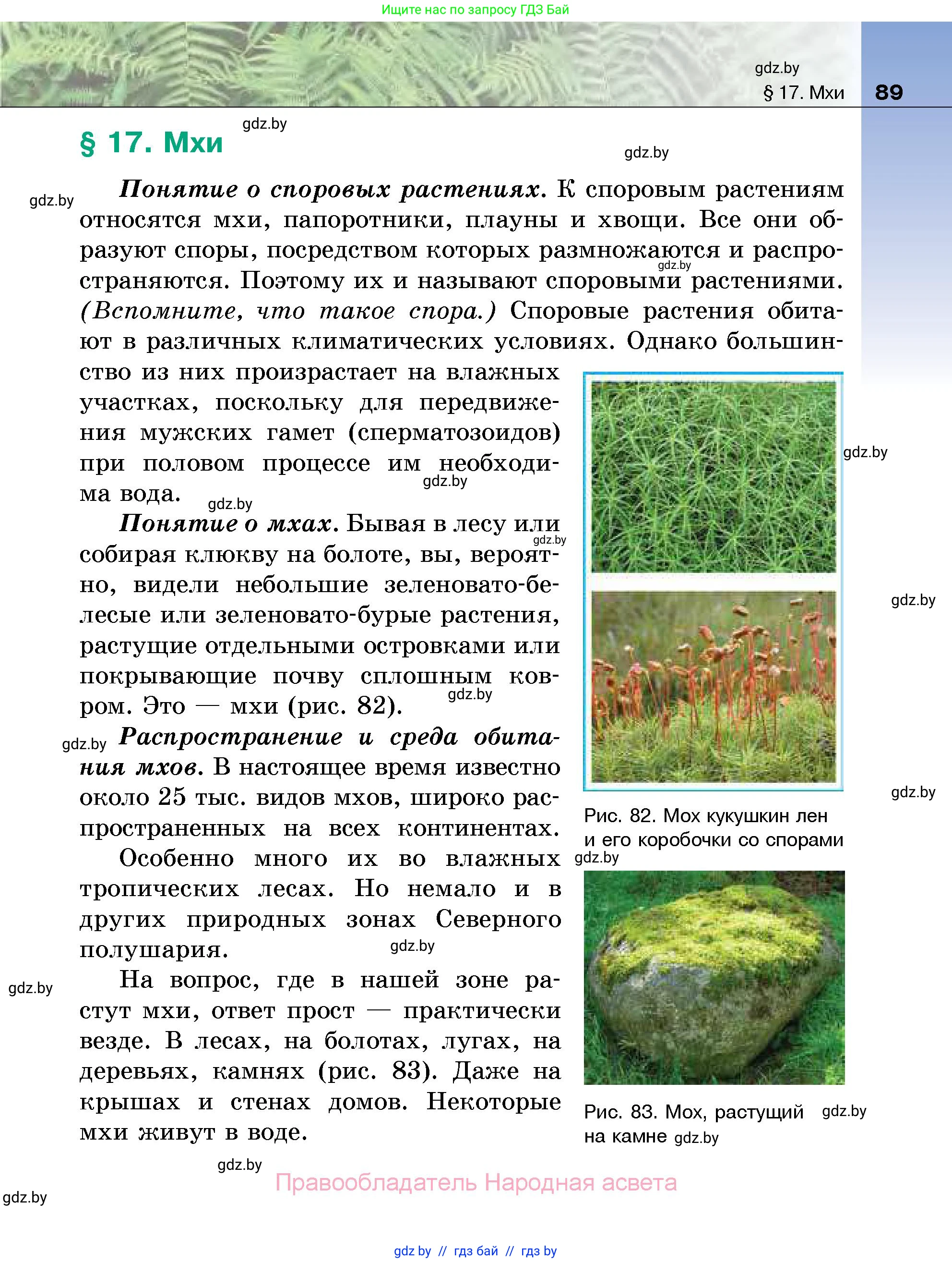 Биология, 7 класс Учебник, автор: Лисов Николай Дмитриевич, издательство Народная асвета, Минск, 2022, зелёного цвета, страница 89