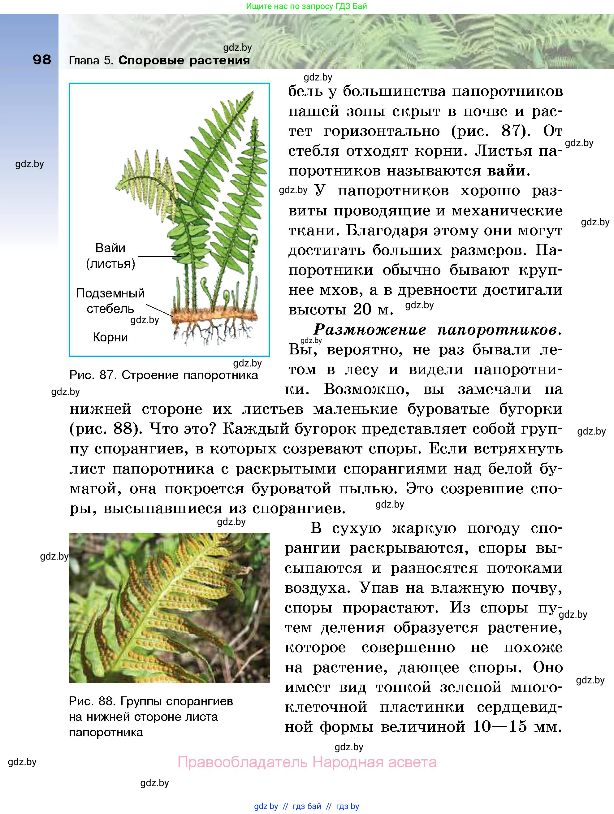 Биология, 7 класс Учебник, автор: Лисов Николай Дмитриевич, издательство Народная асвета, Минск, 2022, зелёного цвета, страница 98