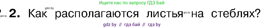 Биология, 7 класс Учебник, автор: Лисов Николай Дмитриевич, издательство Народная асвета, Минск, 2022, зелёного цвета, страница 147, номер 2, Условие