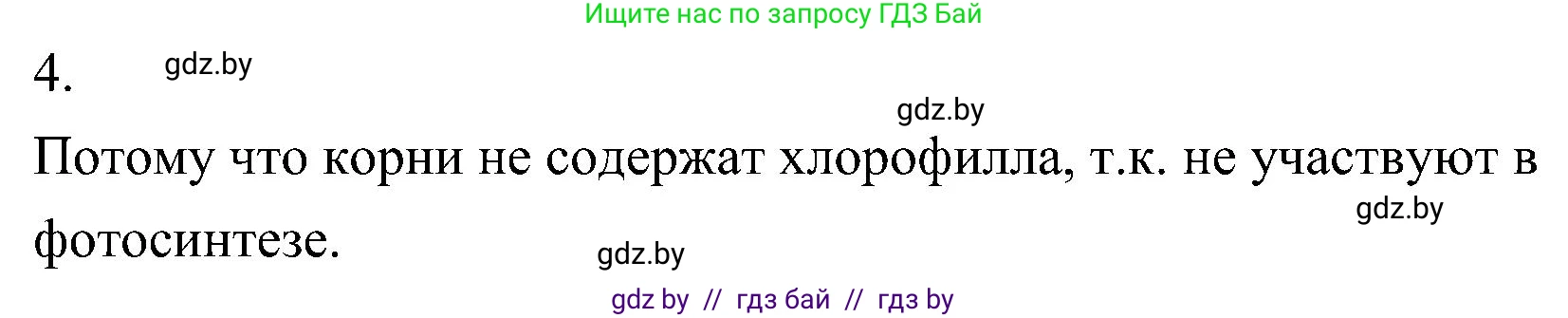 Биология, 7 класс Учебник, автор: Лисов Николай Дмитриевич, издательство Народная асвета, Минск, 2022, зелёного цвета, страница 75, номер 4, Решение
