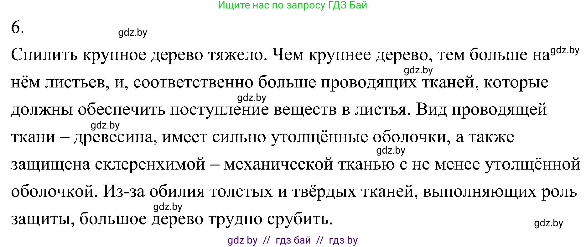 Биология, 7 класс Учебник, автор: Лисов Николай Дмитриевич, издательство Народная асвета, Минск, 2022, зелёного цвета, страница 81, номер 6, Решение