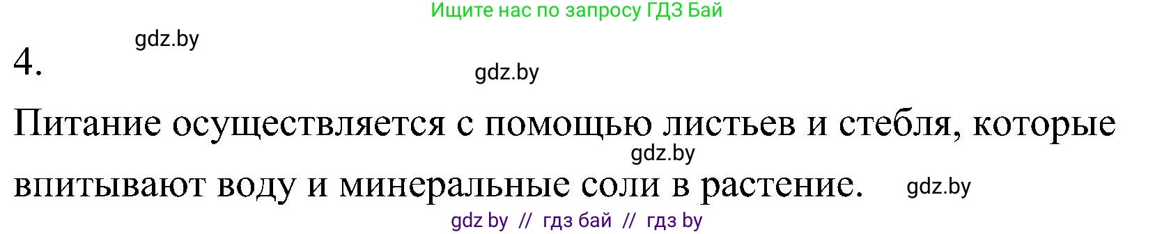 Биология, 7 класс Учебник, автор: Лисов Николай Дмитриевич, издательство Народная асвета, Минск, 2022, зелёного цвета, страница 97, номер 4, Решение