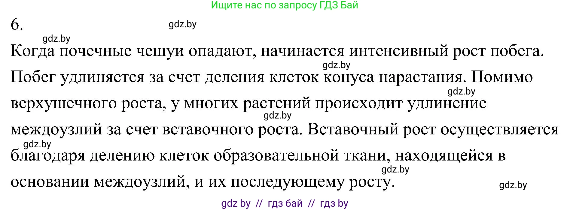 Биология, 7 класс Учебник, автор: Лисов Николай Дмитриевич, издательство Народная асвета, Минск, 2022, зелёного цвета, страница 137, номер 6, Решение