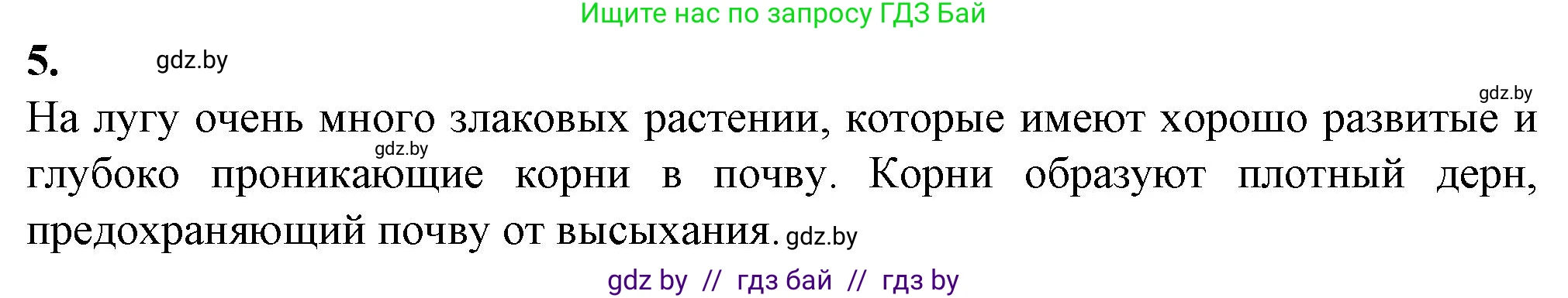 Биология, 10 класс рабочая тетрадь, авторы: Маглыш Сабина Степановна, Кравченко Вячеслав Анатольевич, издательство Аверсэв, Минск, 2021, страница 19, номер 5, Решение