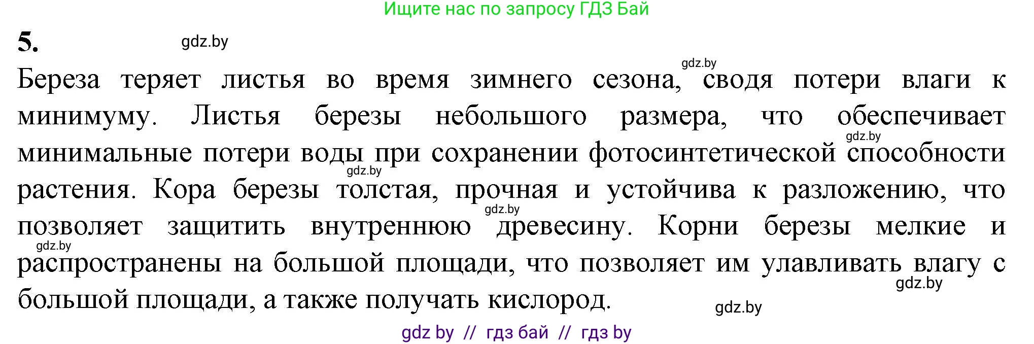 Биология, 10 класс рабочая тетрадь, авторы: Маглыш Сабина Степановна, Кравченко Вячеслав Анатольевич, издательство Аверсэв, Минск, 2021, страница 20, номер 5, Решение