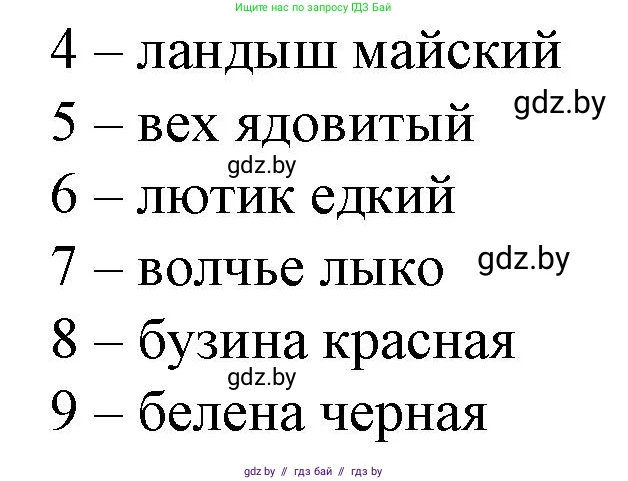 Биология, 10 класс рабочая тетрадь, авторы: Маглыш Сабина Степановна, Кравченко Вячеслав Анатольевич, издательство Аверсэв, Минск, 2021, страница 39, номер 2, Решение (продолжение 2)