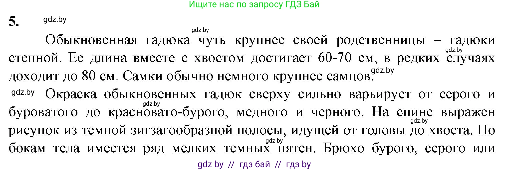 Биология, 10 класс рабочая тетрадь, авторы: Маглыш Сабина Степановна, Кравченко Вячеслав Анатольевич, издательство Аверсэв, Минск, 2021, страница 43, номер 5, Решение