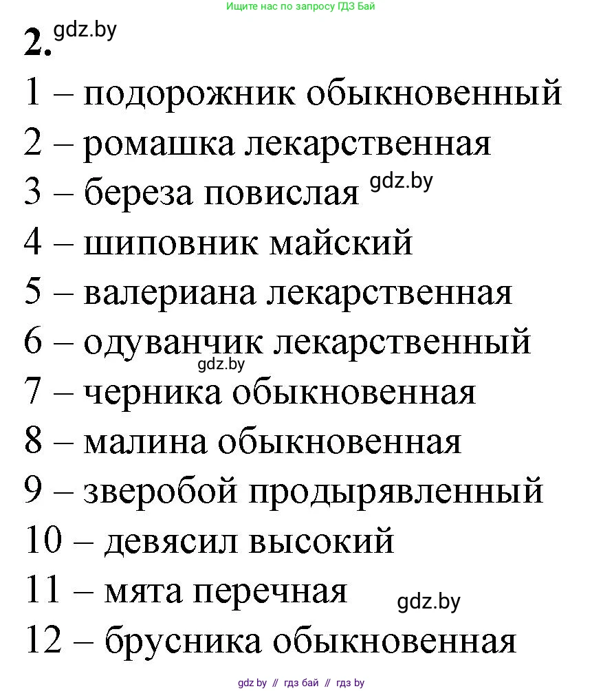 Биология, 10 класс рабочая тетрадь, авторы: Маглыш Сабина Степановна, Кравченко Вячеслав Анатольевич, издательство Аверсэв, Минск, 2021, страница 43, номер 2, Решение