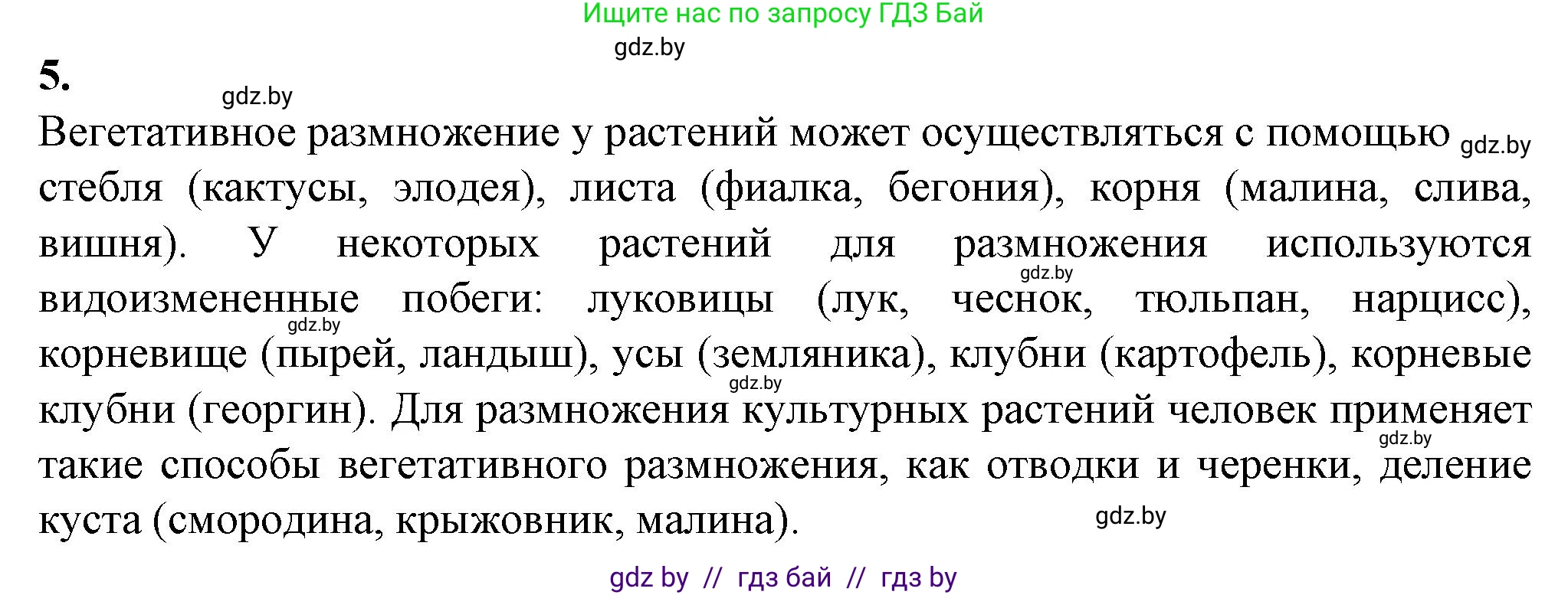Биология, 10 класс рабочая тетрадь, авторы: Маглыш Сабина Степановна, Кравченко Вячеслав Анатольевич, издательство Аверсэв, Минск, 2021, страница 61, номер 5, Решение