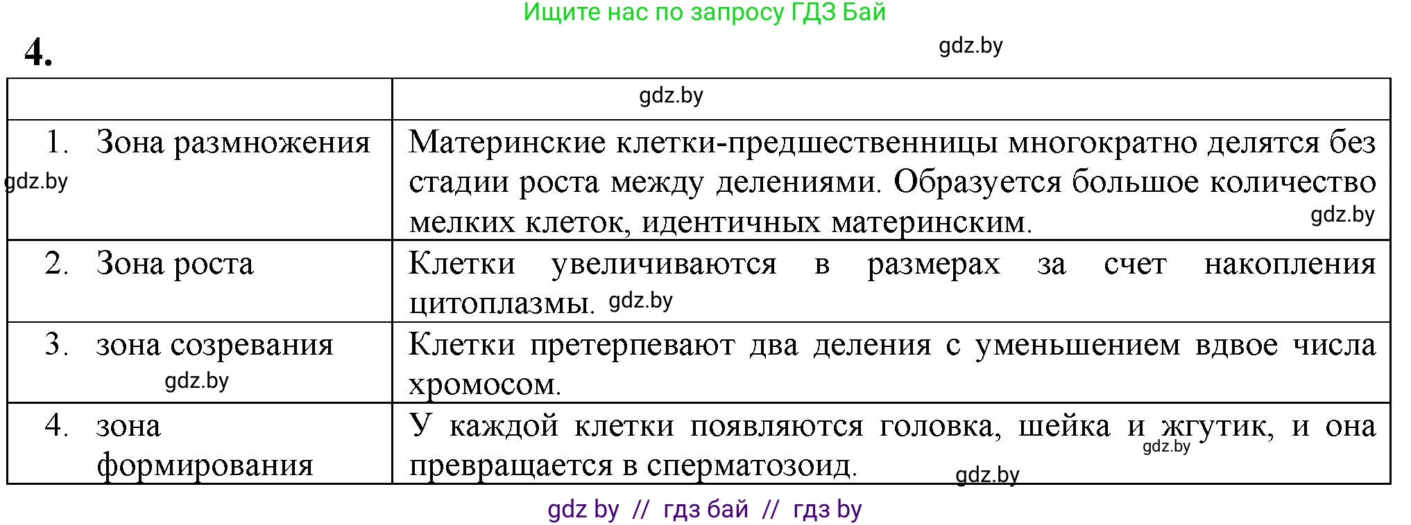 Биология, 10 класс рабочая тетрадь, авторы: Маглыш Сабина Степановна, Кравченко Вячеслав Анатольевич, издательство Аверсэв, Минск, 2021, страница 63, номер 4, Решение