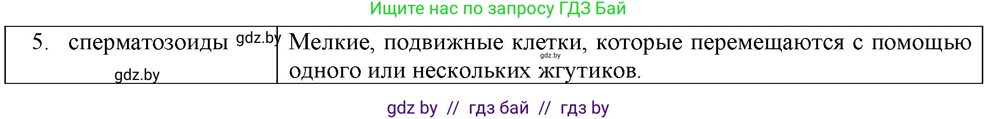 Биология, 10 класс рабочая тетрадь, авторы: Маглыш Сабина Степановна, Кравченко Вячеслав Анатольевич, издательство Аверсэв, Минск, 2021, страница 63, номер 4, Решение (продолжение 2)