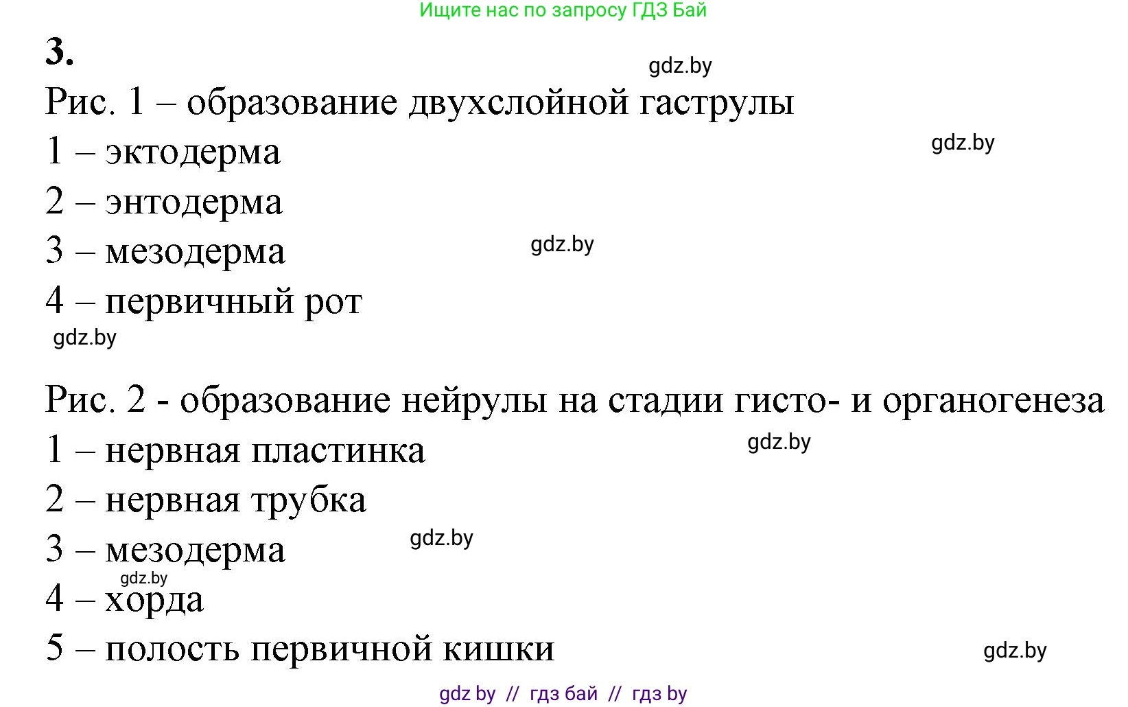 Биология, 10 класс рабочая тетрадь, авторы: Маглыш Сабина Степановна, Кравченко Вячеслав Анатольевич, издательство Аверсэв, Минск, 2021, страница 67, номер 3, Решение